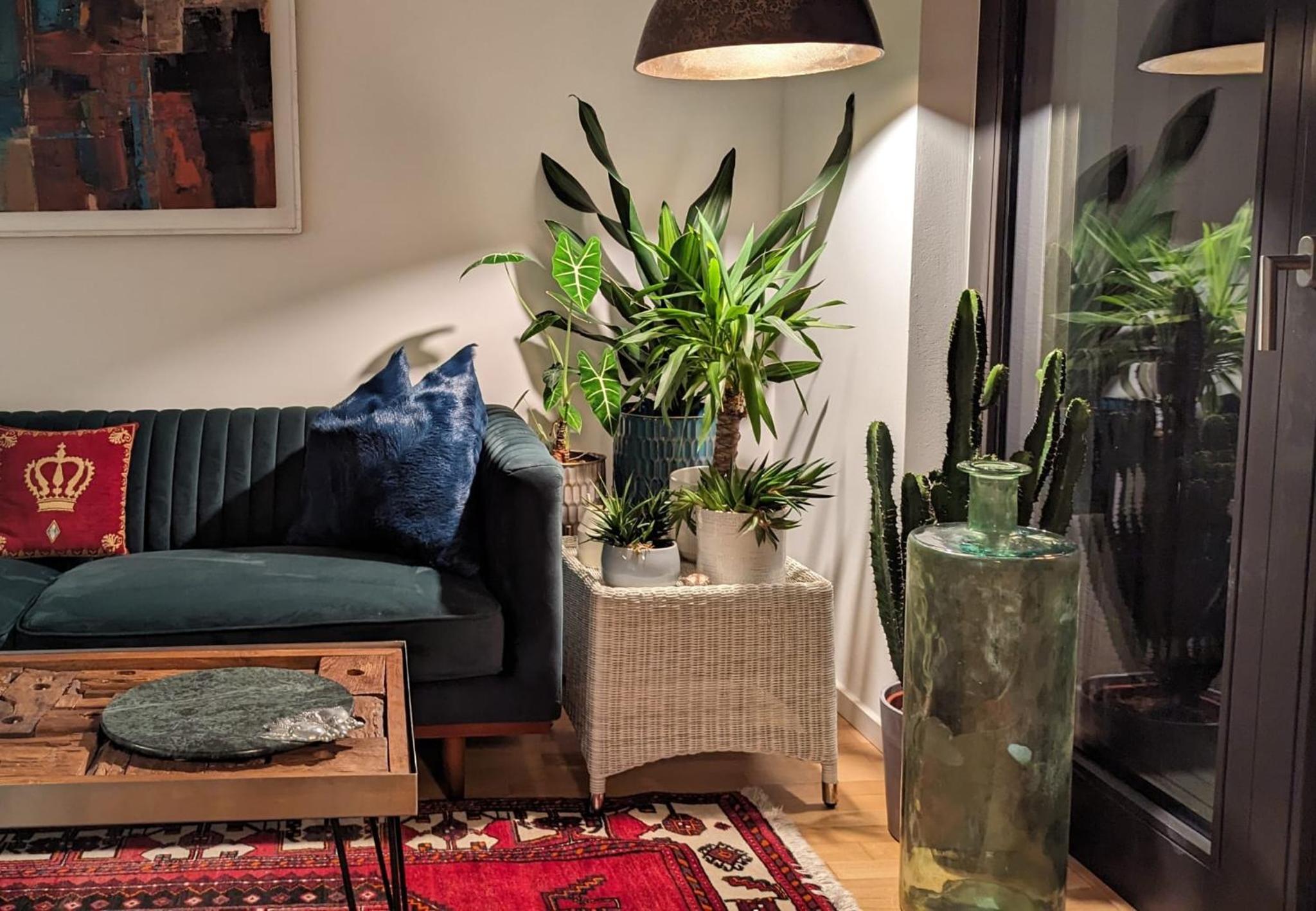 Deluxe Apartment photo 3