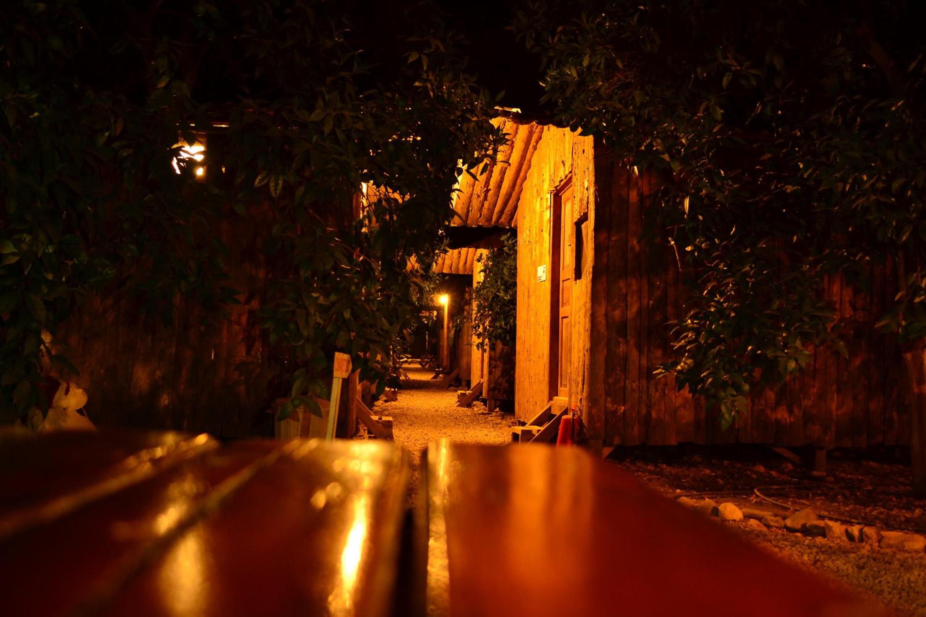 Bungalow (2 Adults) - Photo 2