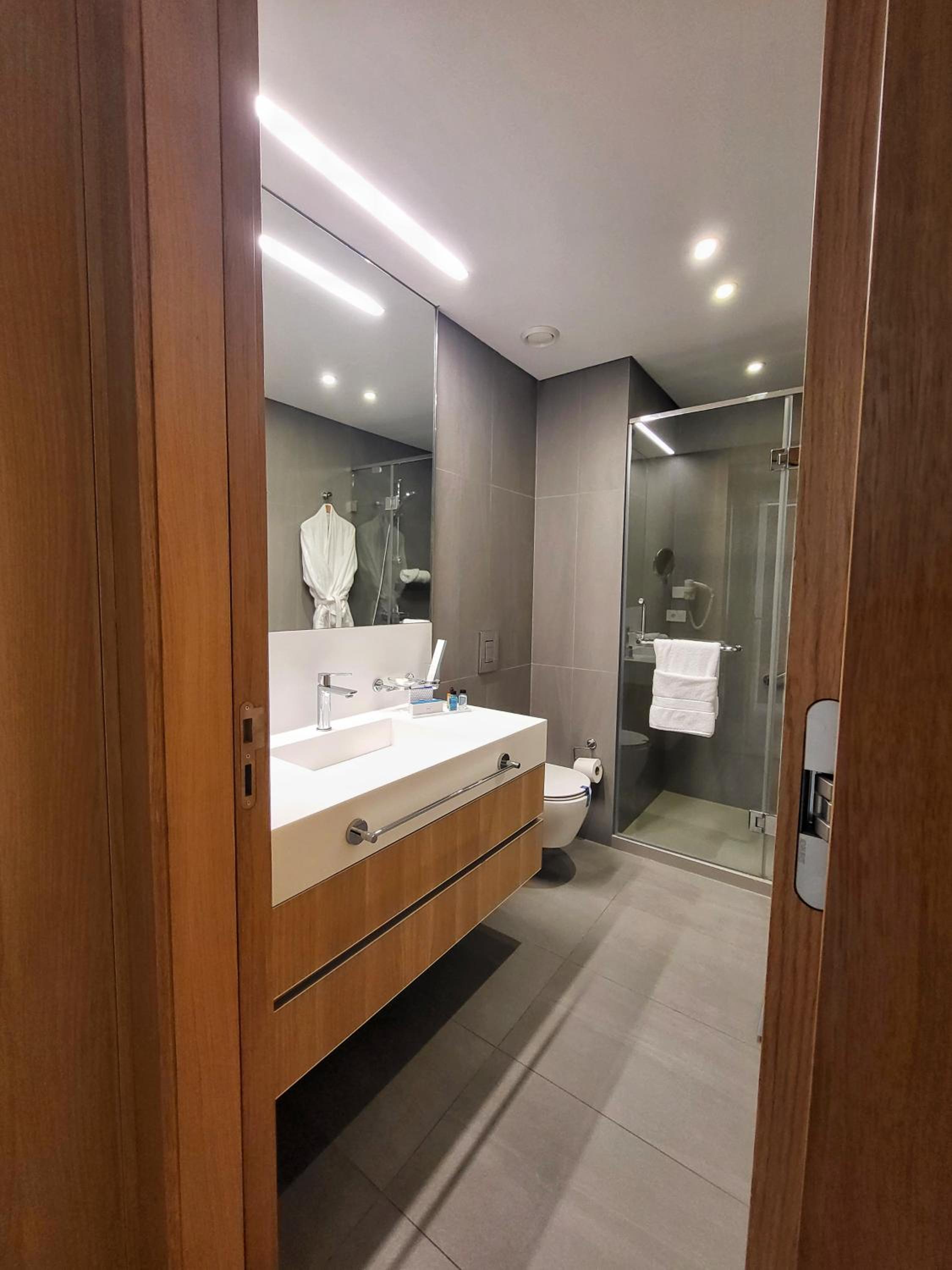 Deluxe One-Bedroom Apartment