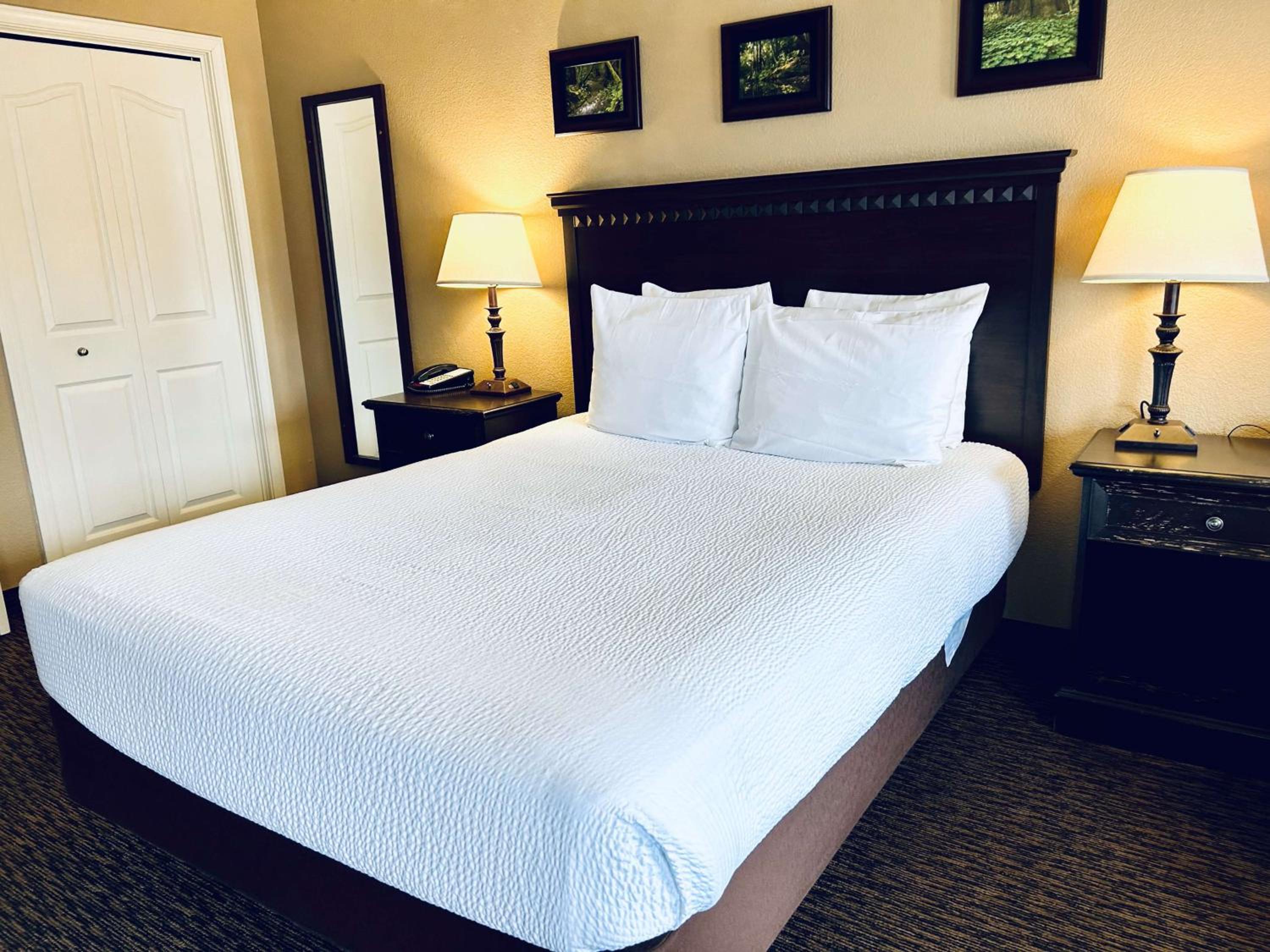 Queen Room with Walk-In Shower - Mobility Access/Communication Assistance/Non-Smoking photo 2