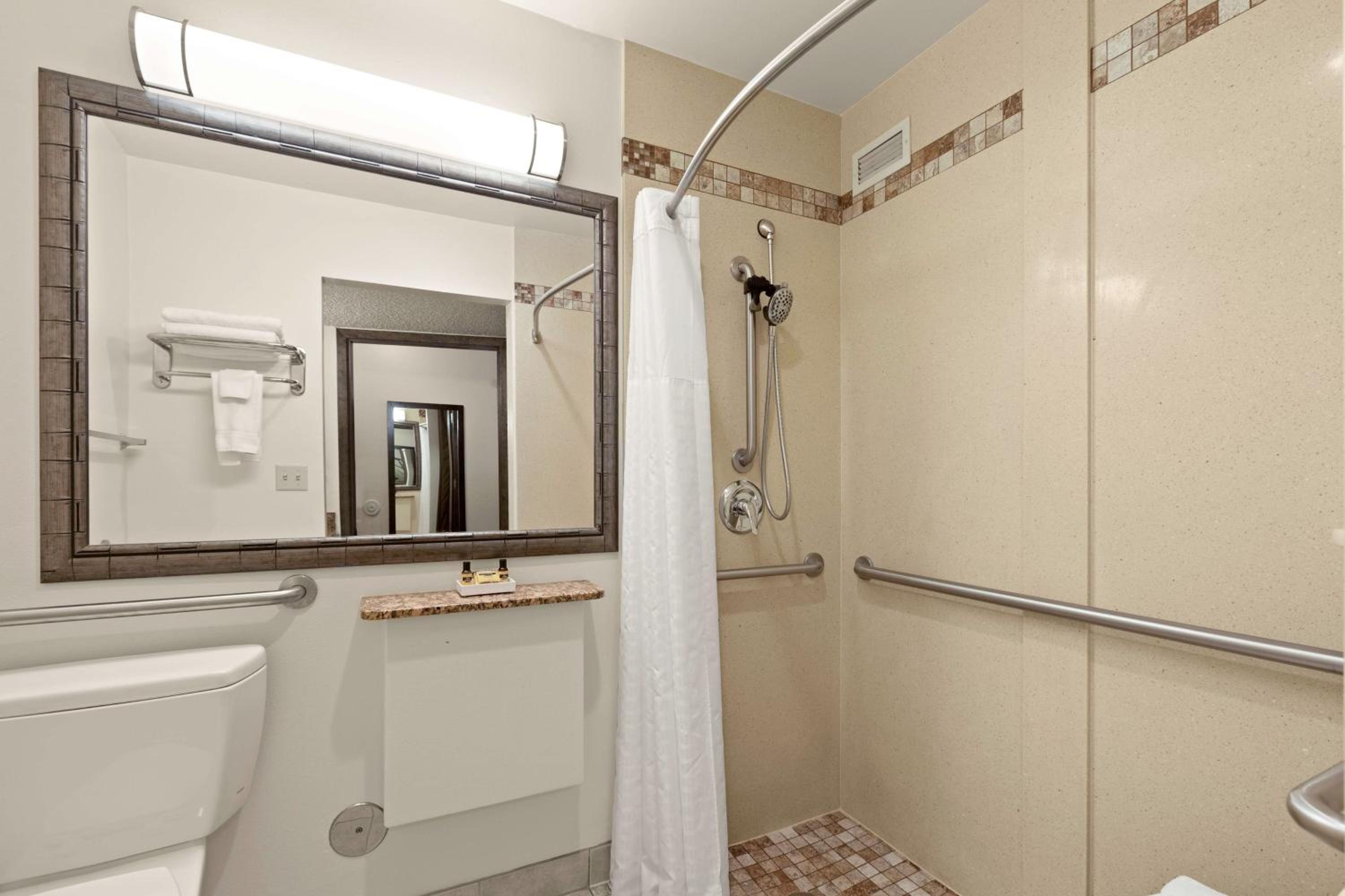 King Room with Roll In Shower-Disability Access - Photo 3