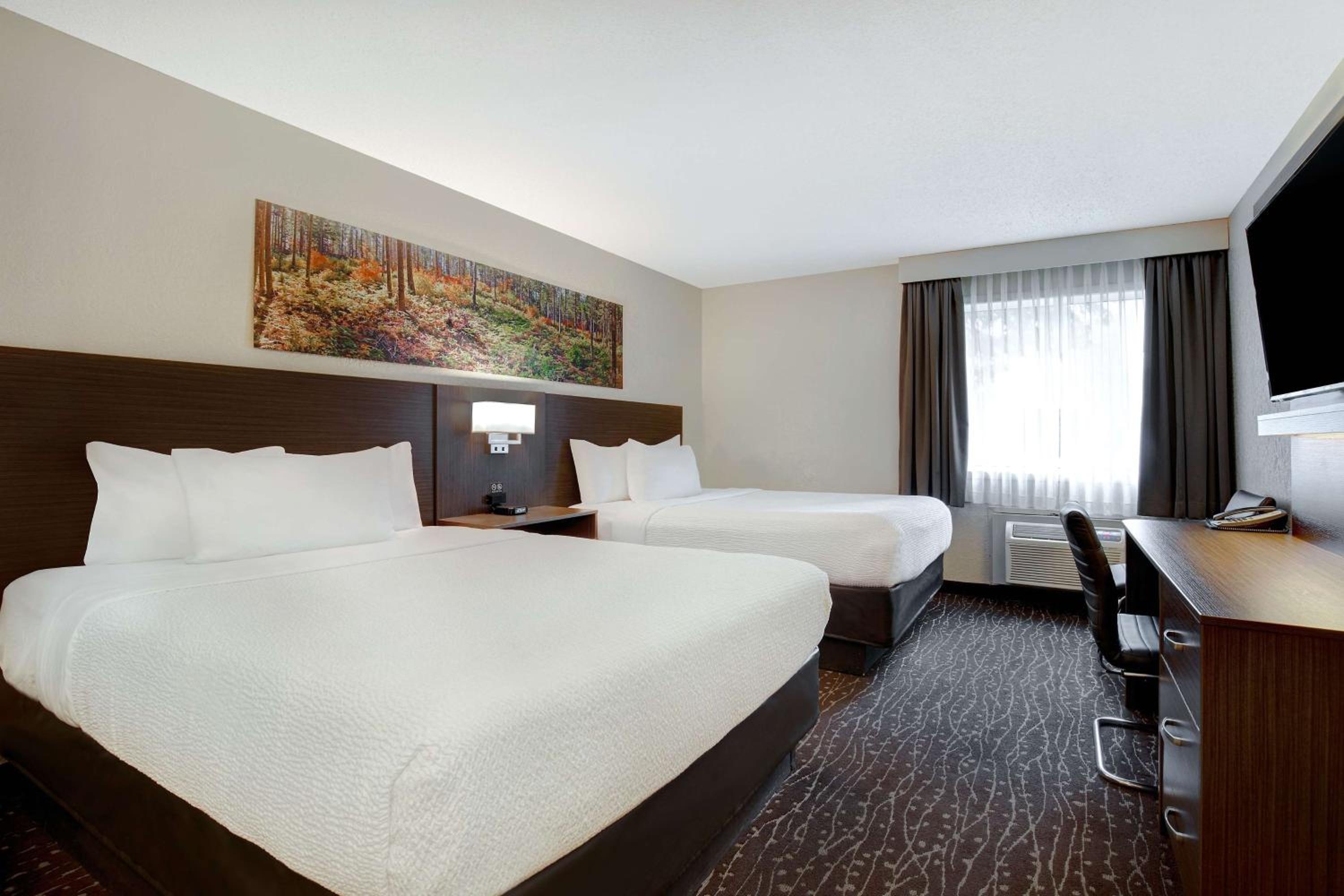 Queen Room with Two Queen Beds - Non-Smoking photo 1