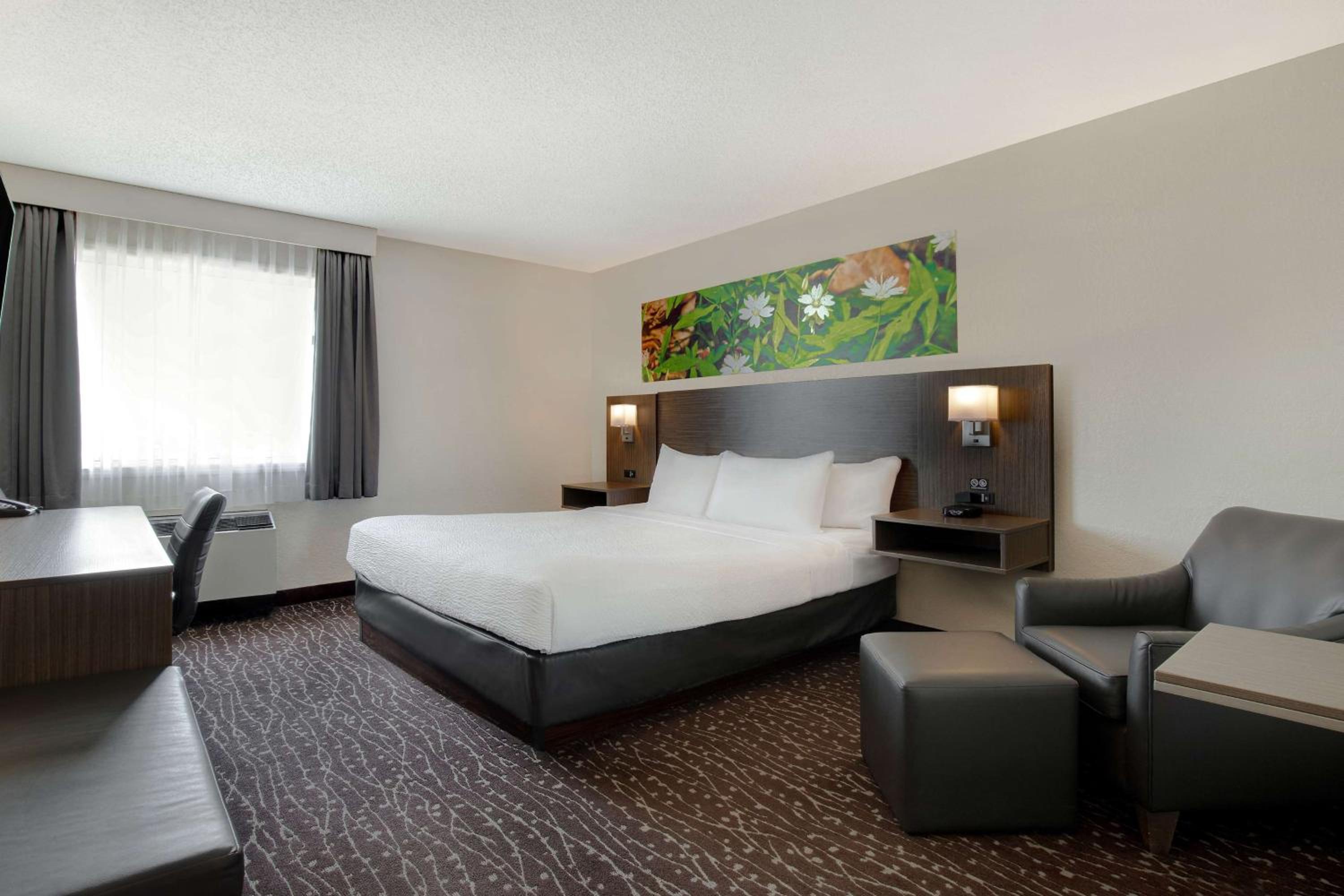 King Room - Non-Smoking photo 1