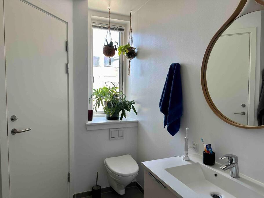 One-Bedroom Apartment photo 3