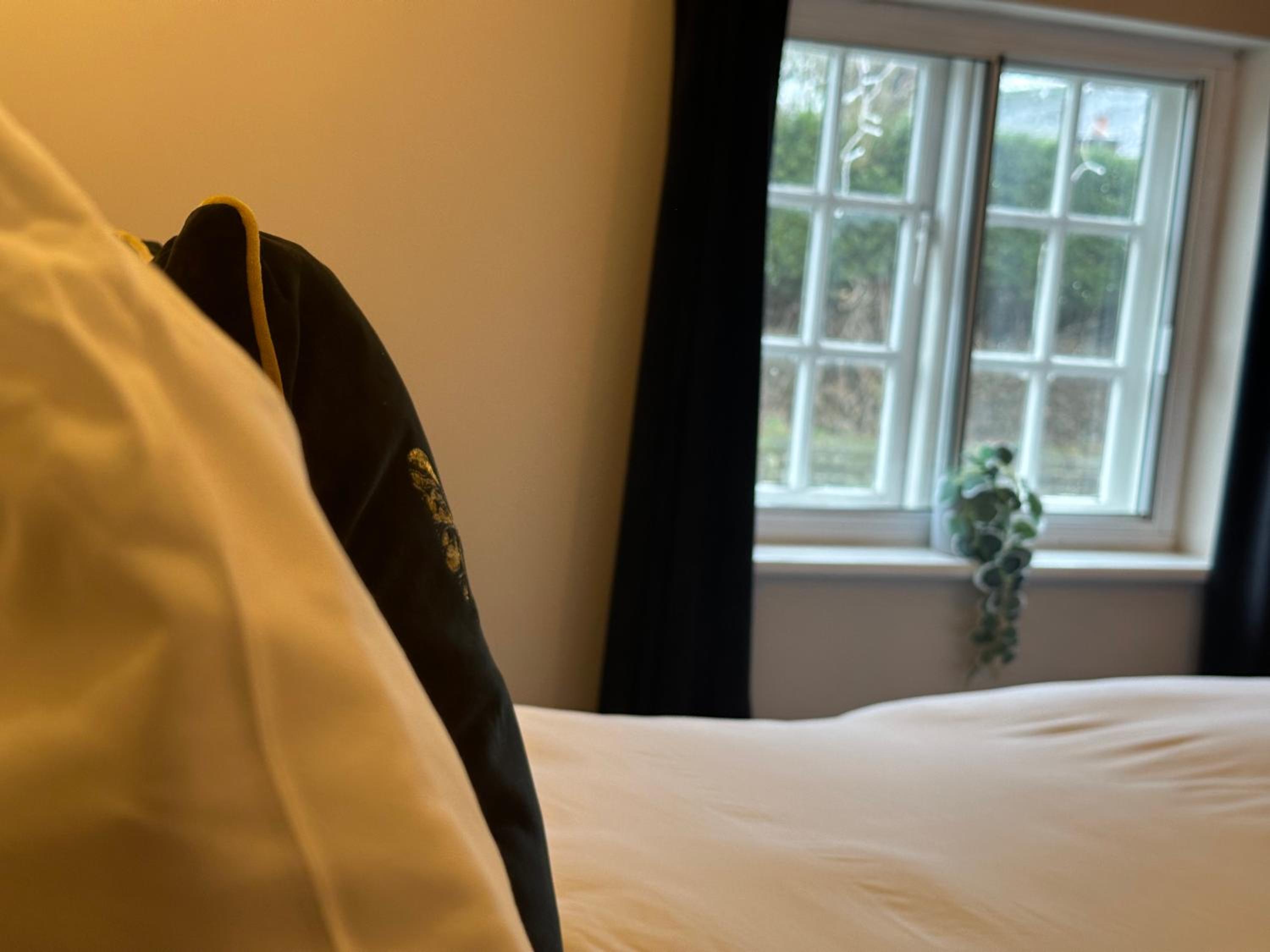 Deluxe Double Room photo 3