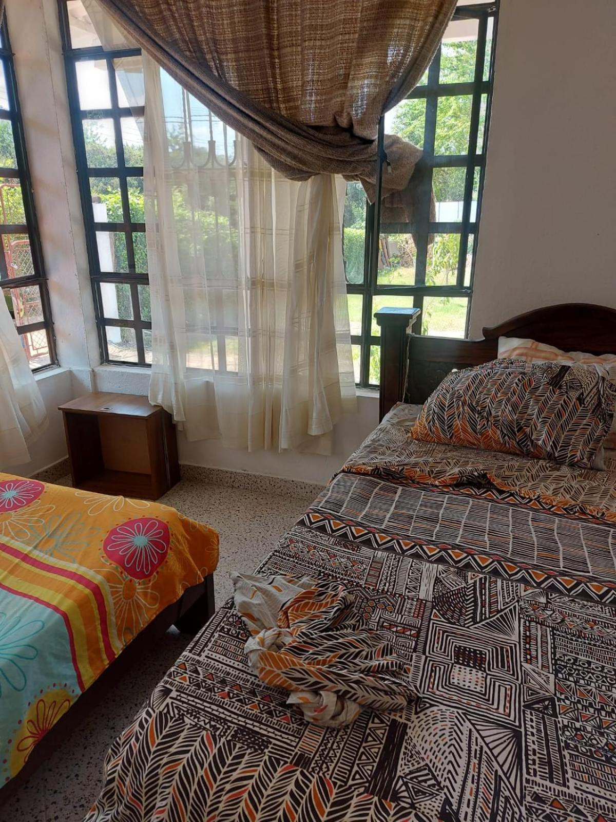 Twin Room photo 1