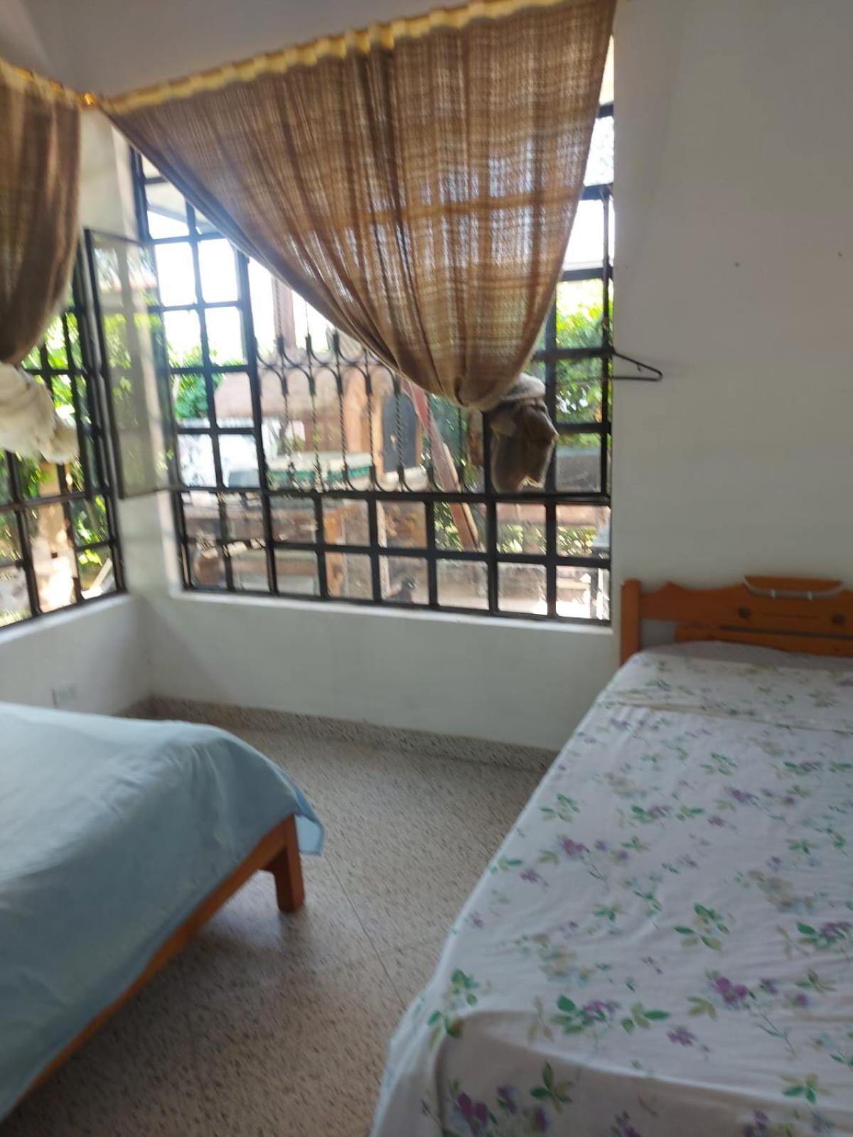 Twin Room photo 2