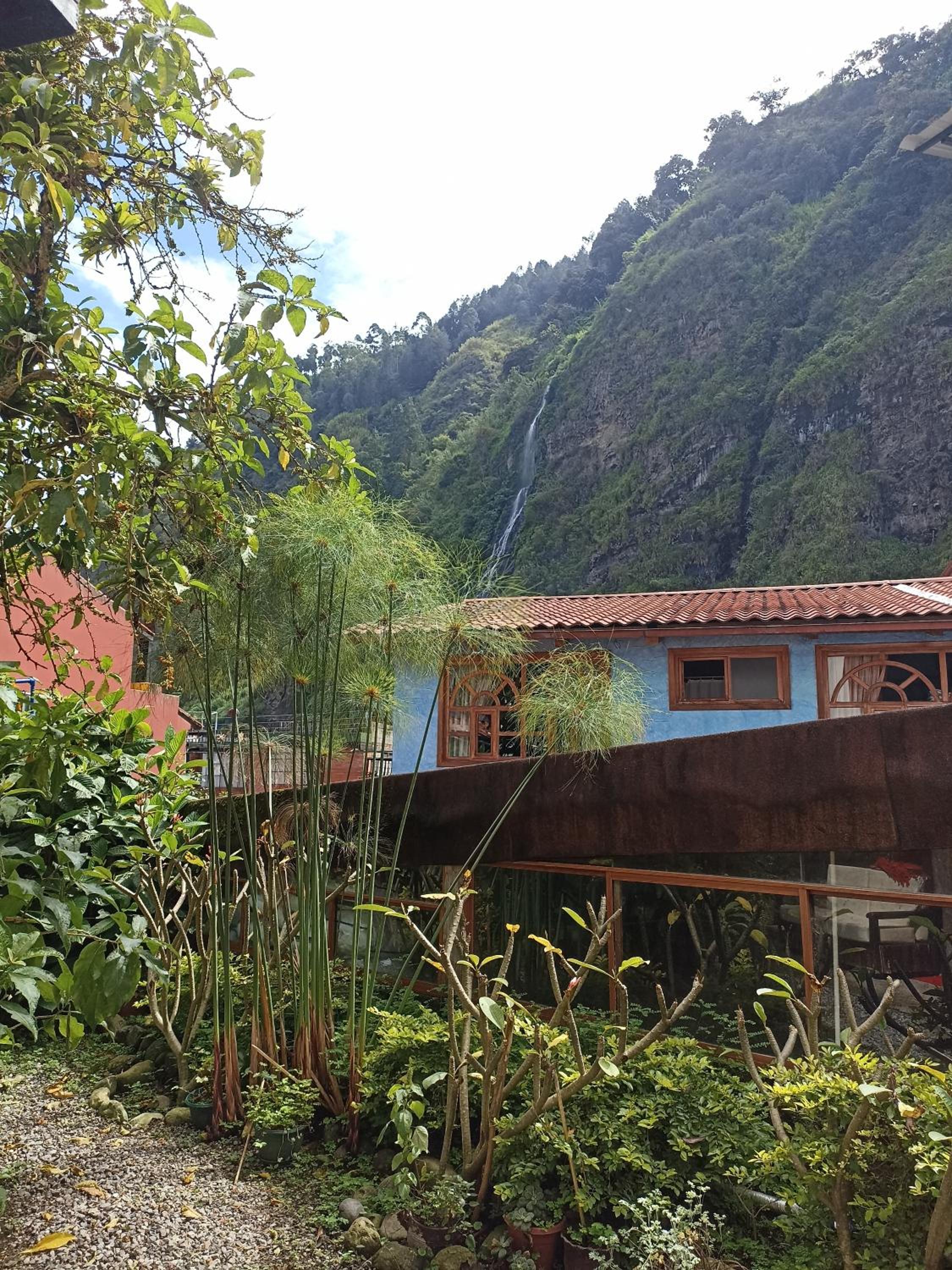 Standard Single Room with Mountain View photo 2