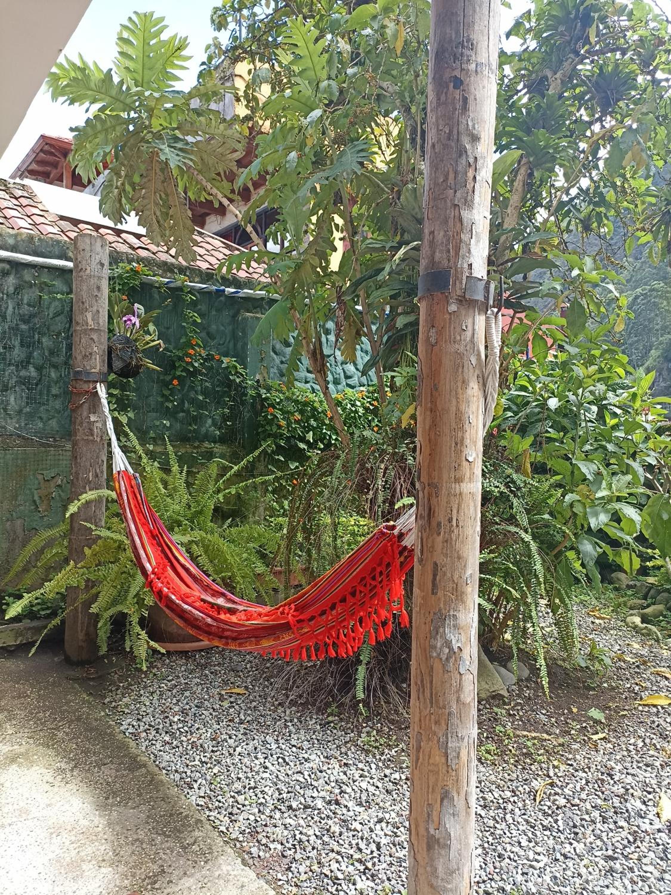 Standard Single Room with Mountain View photo 3