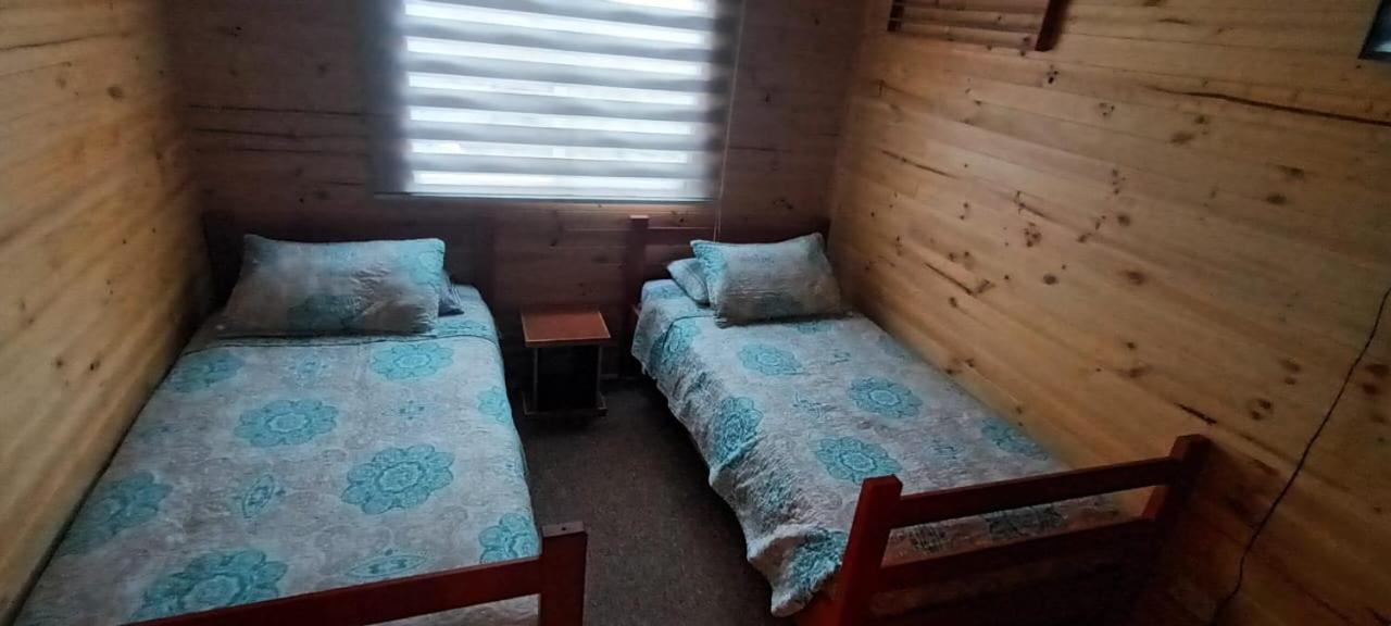 One-Bedroom House photo 2