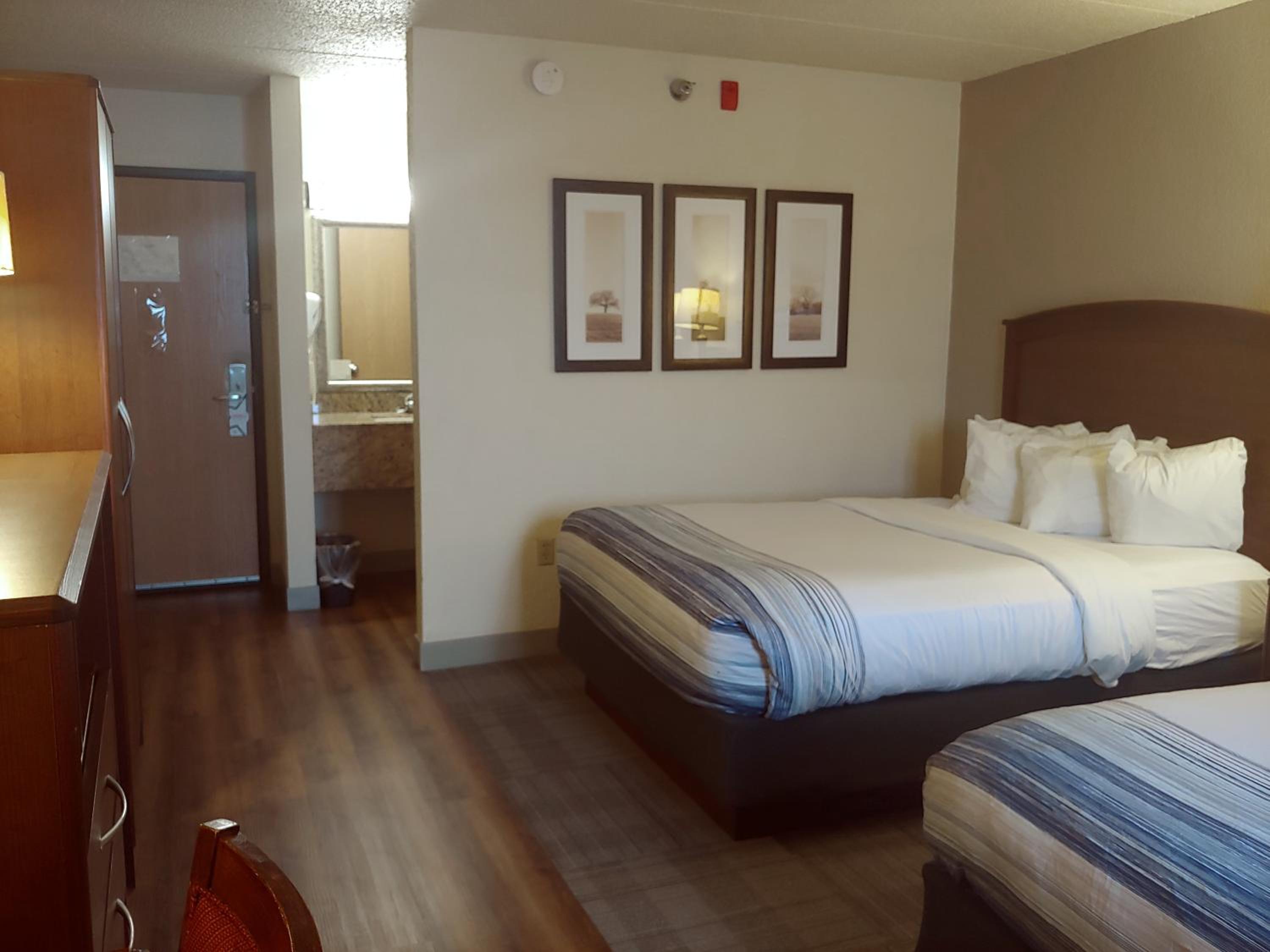 Queen Room with Two Queen Beds - Pet Friendly/Non-Smoking - Photo 7