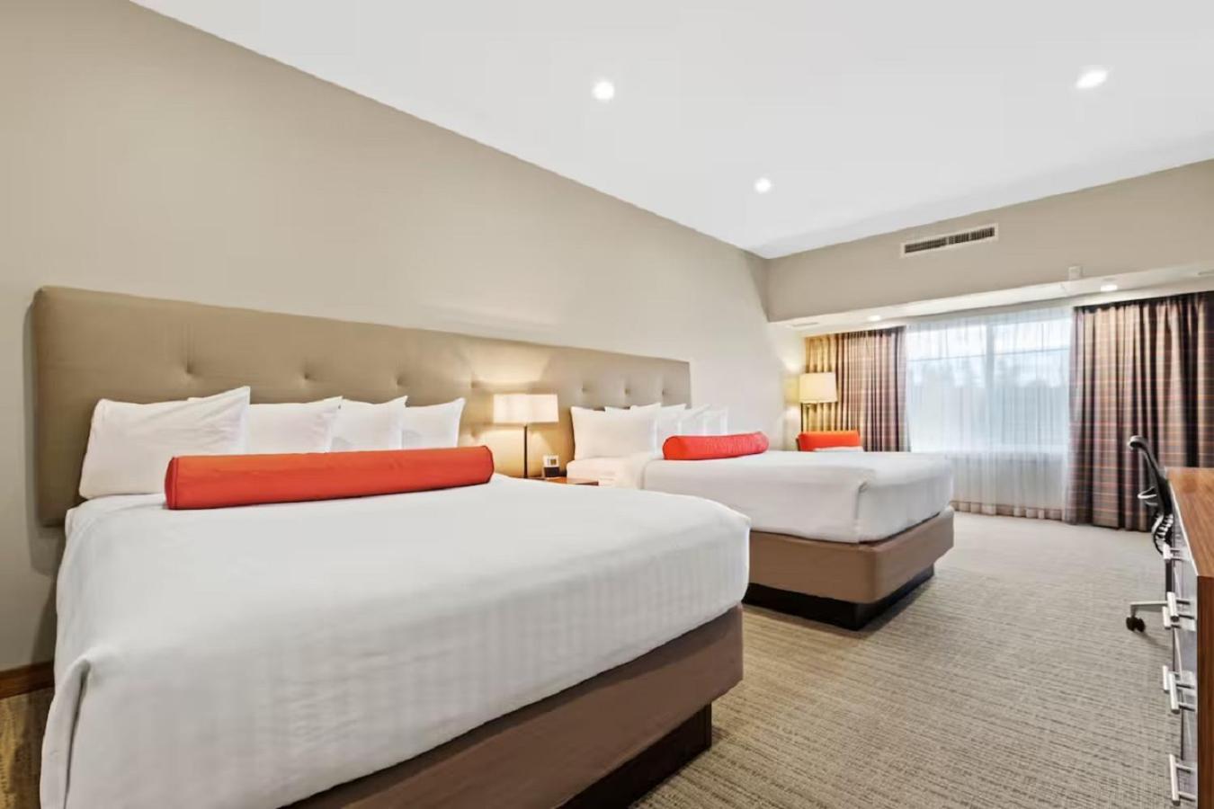 King Room with Two King Beds photo 1