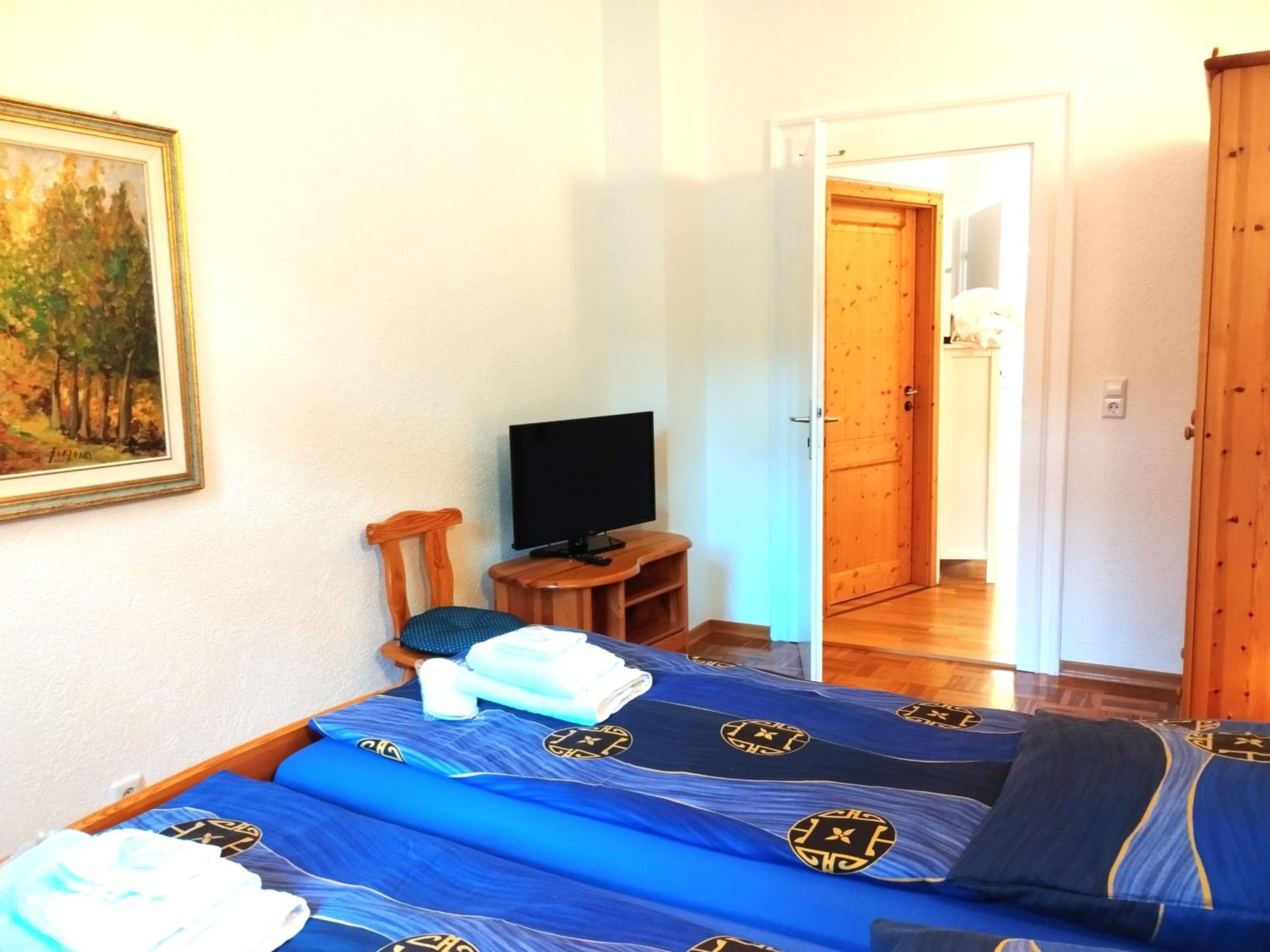 One-Bedroom Family Apartment photo 3