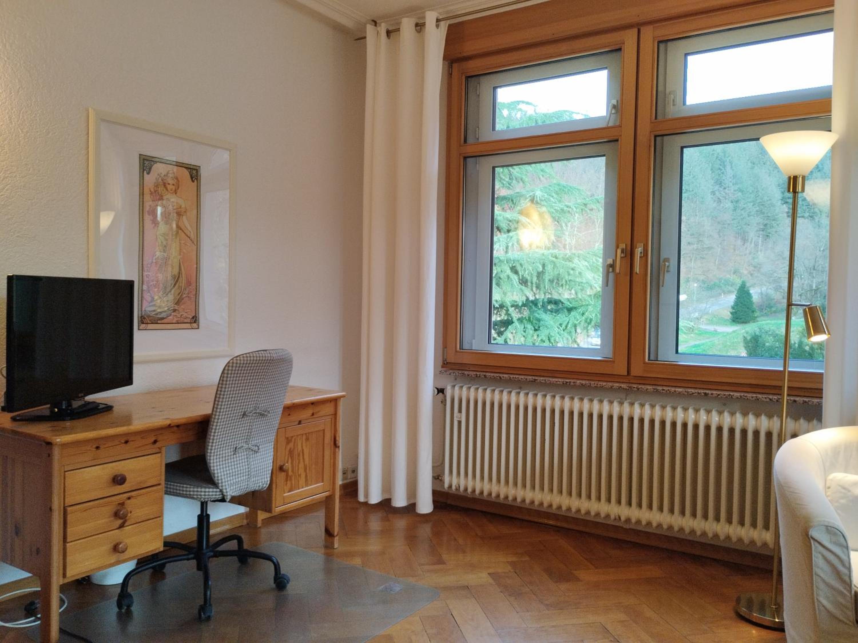 Apartment with Mountain View photo 2