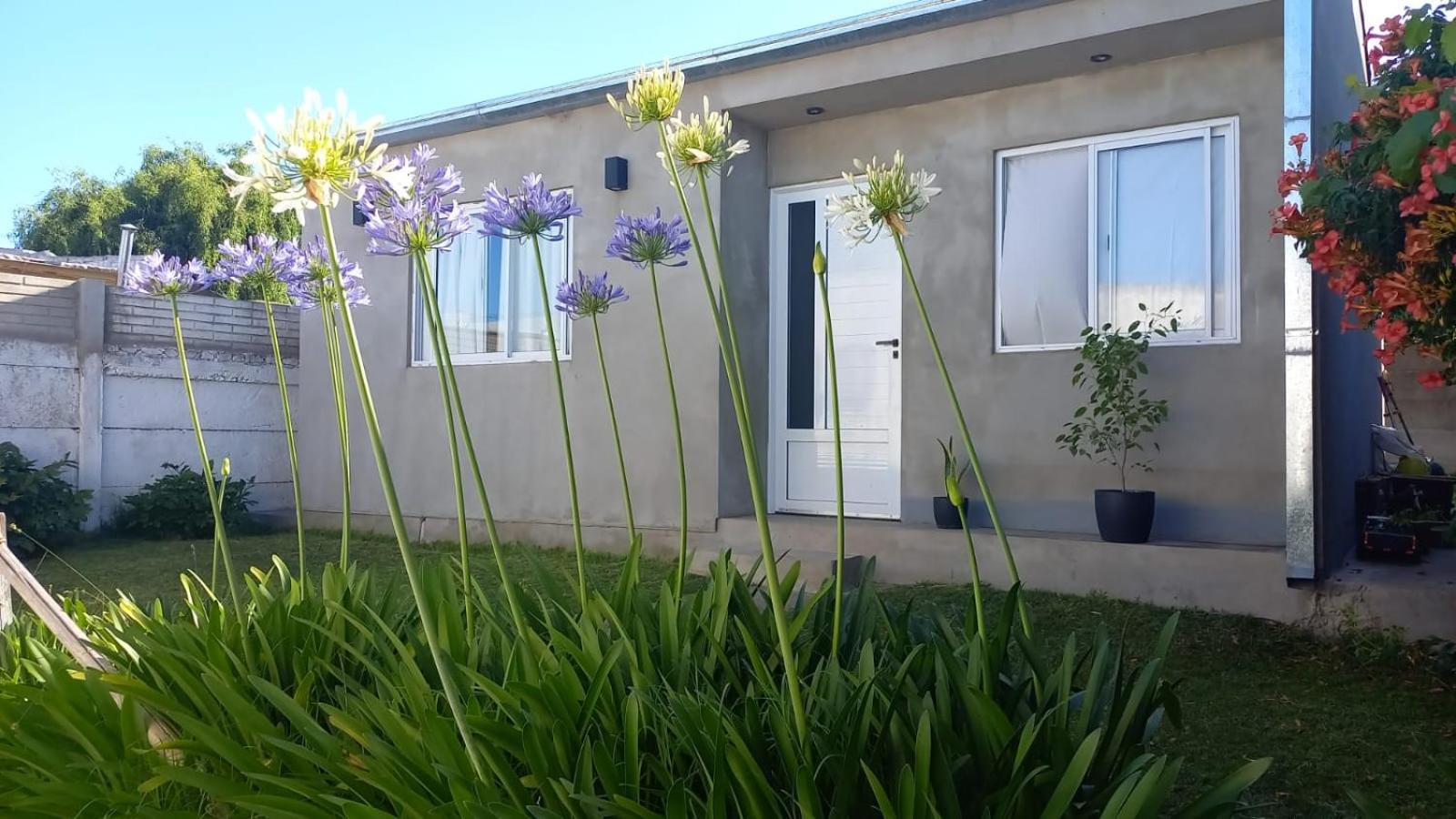 One-Bedroom House photo 2