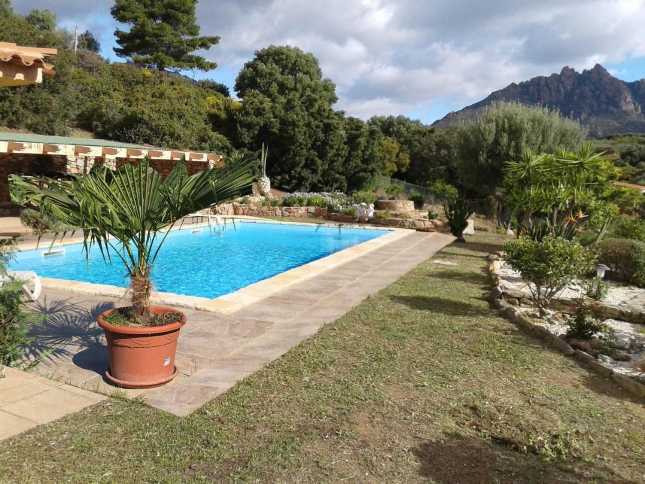 Villa photo 2