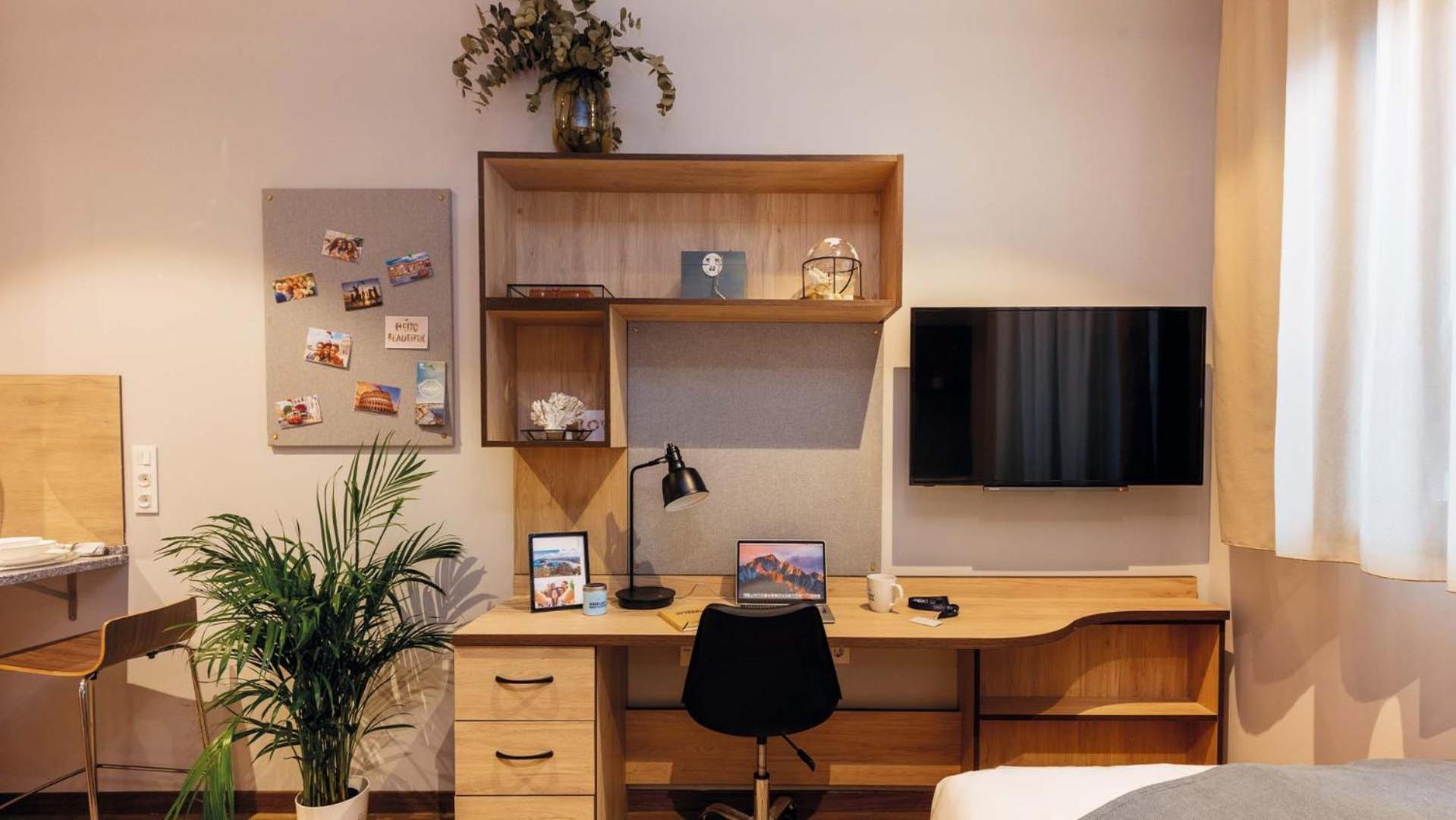 Estudio Premium