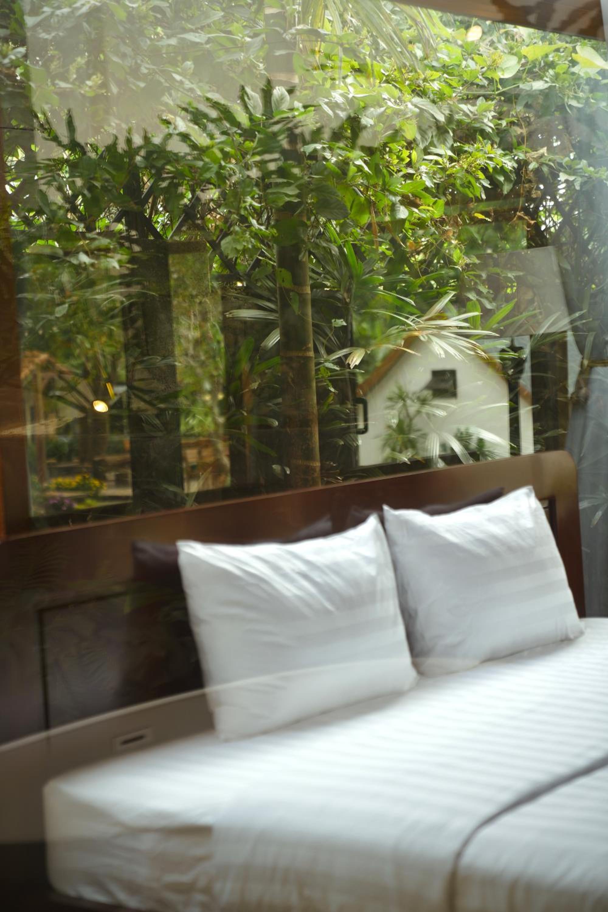 Deluxe Double Room photo 1