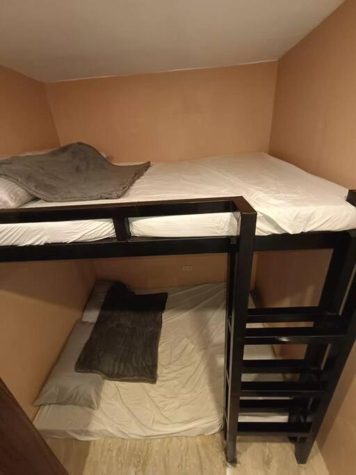 One-Bedroom House photo 3