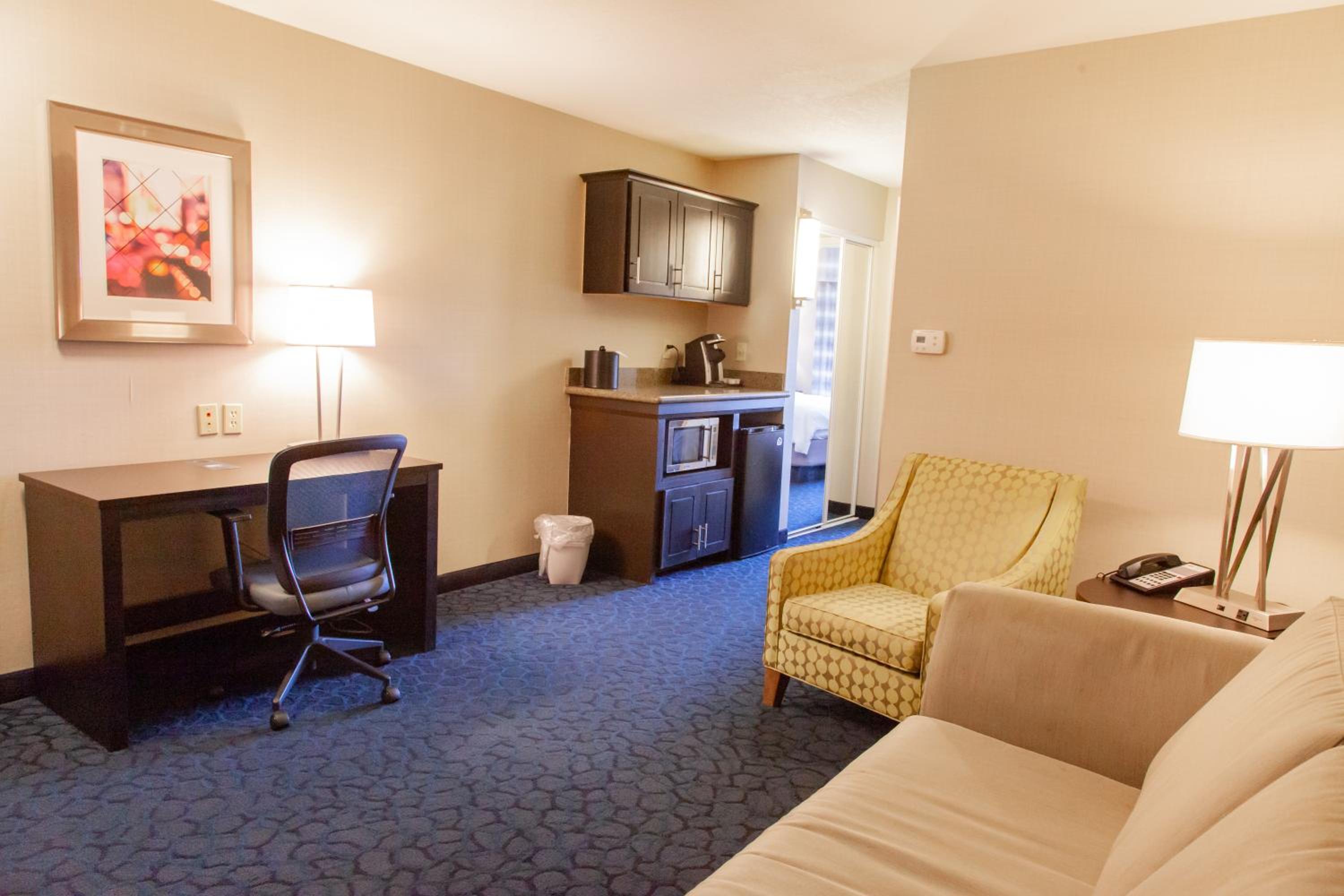 One-Bedroom Suite - Photo 1