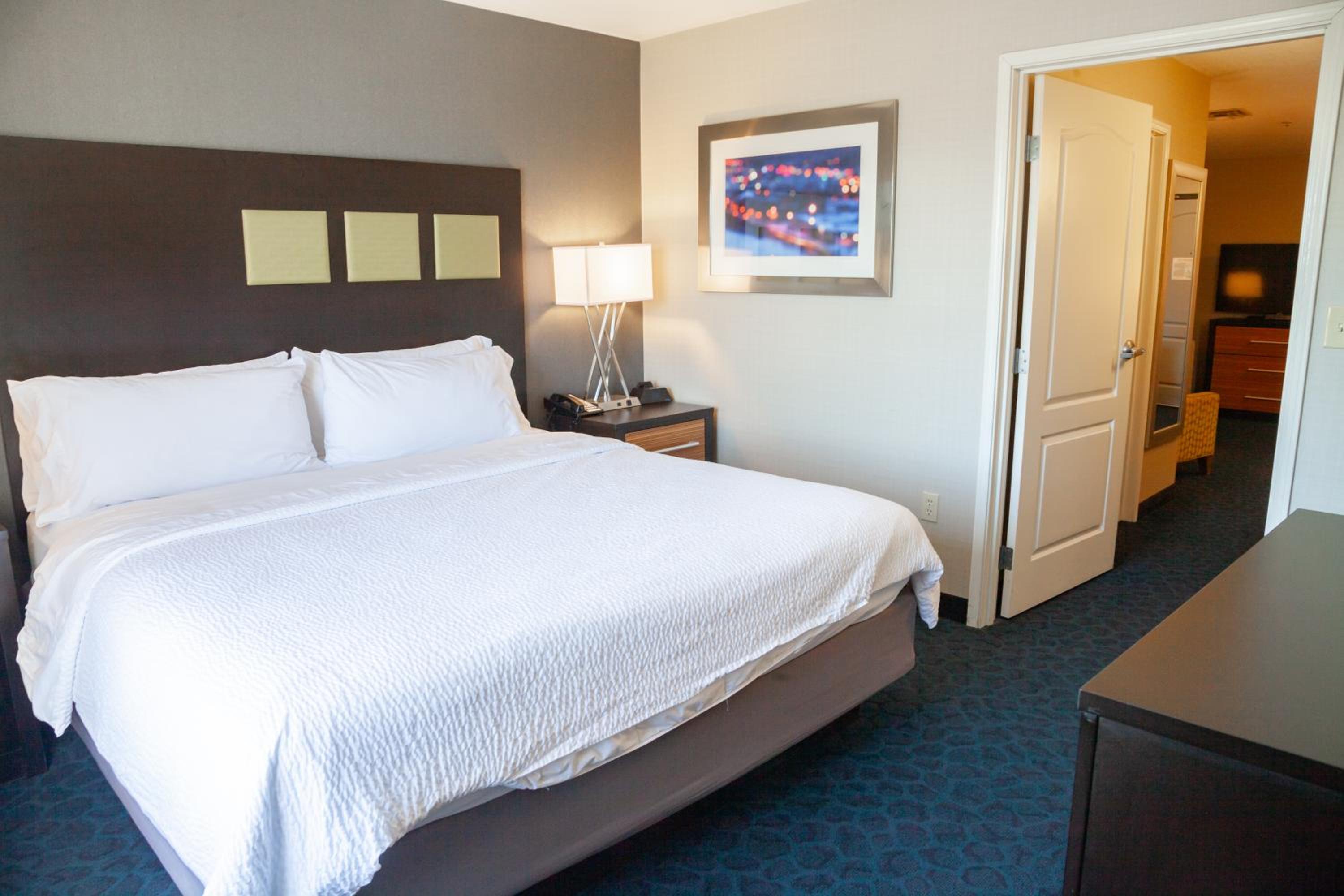 One-Bedroom Suite - Photo 3