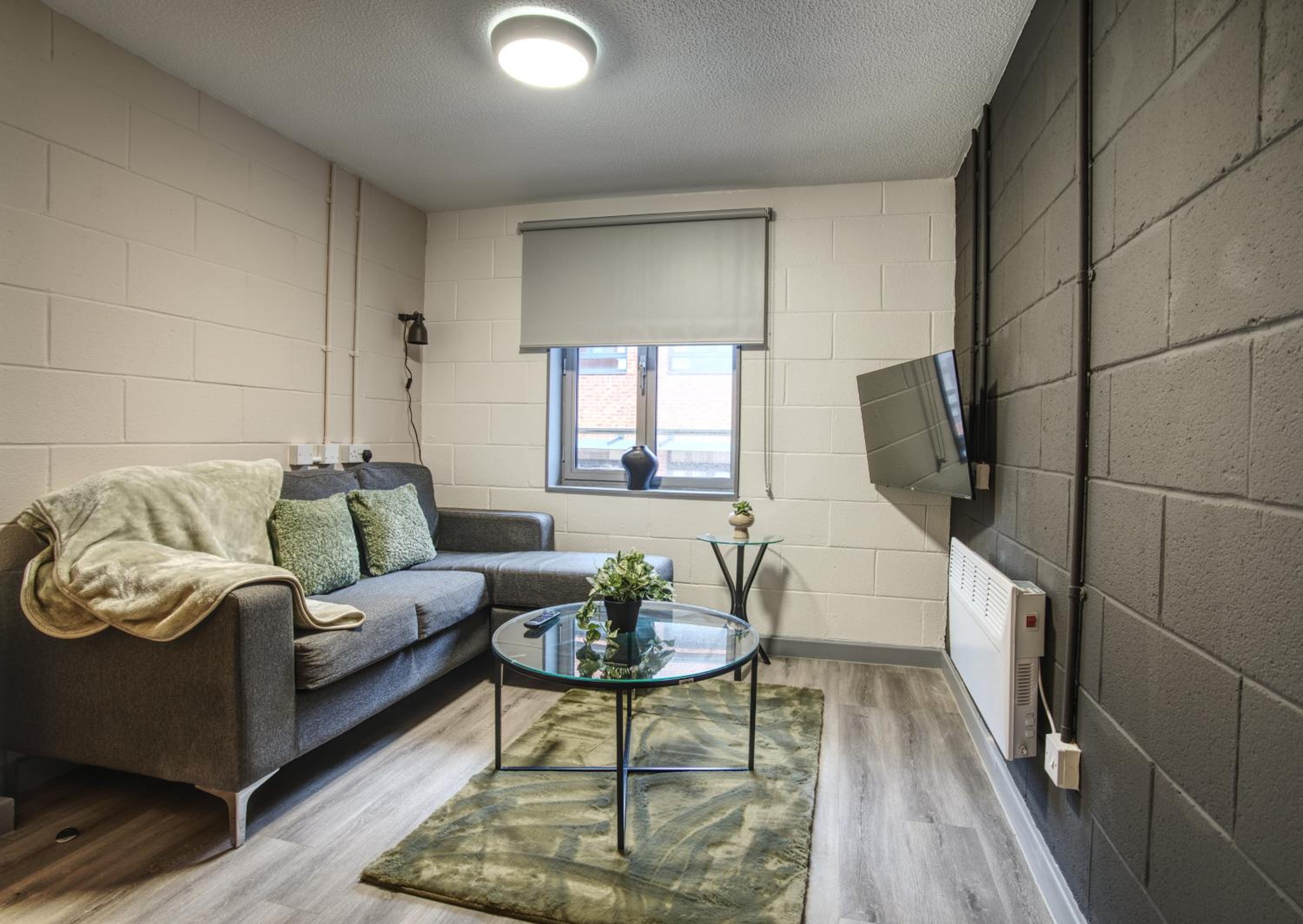 One-Bedroom Apartment photo 3