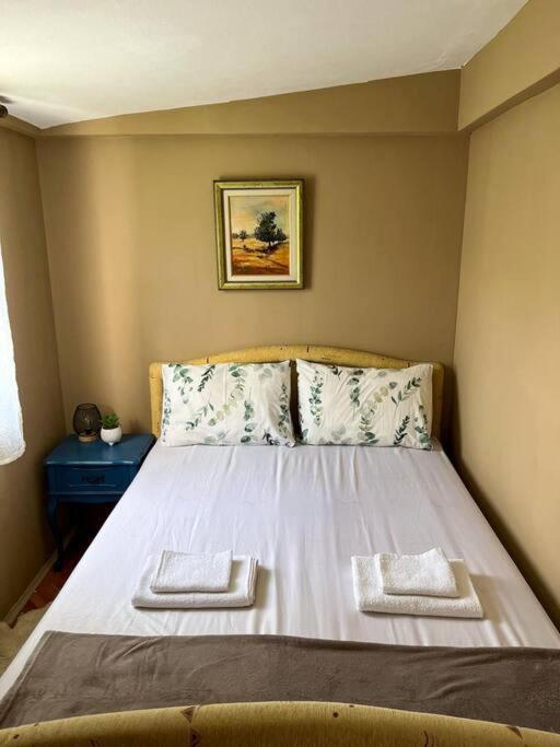 One-Bedroom House photo 1
