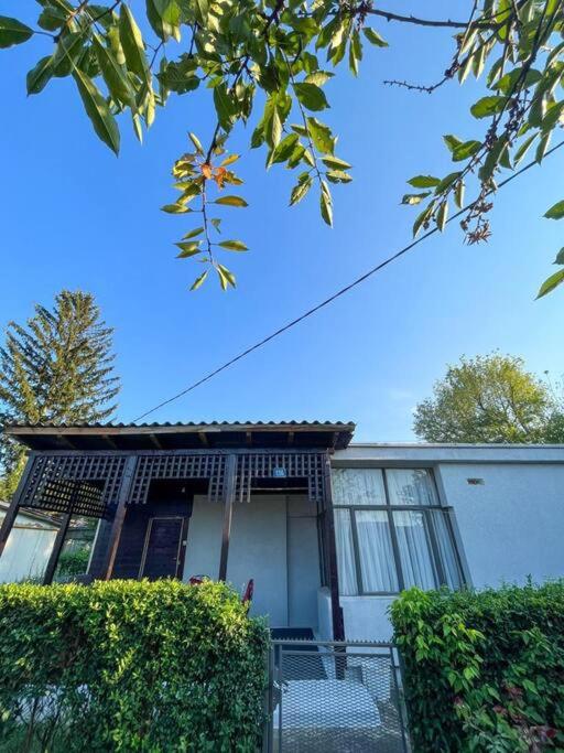 One-Bedroom House photo 2