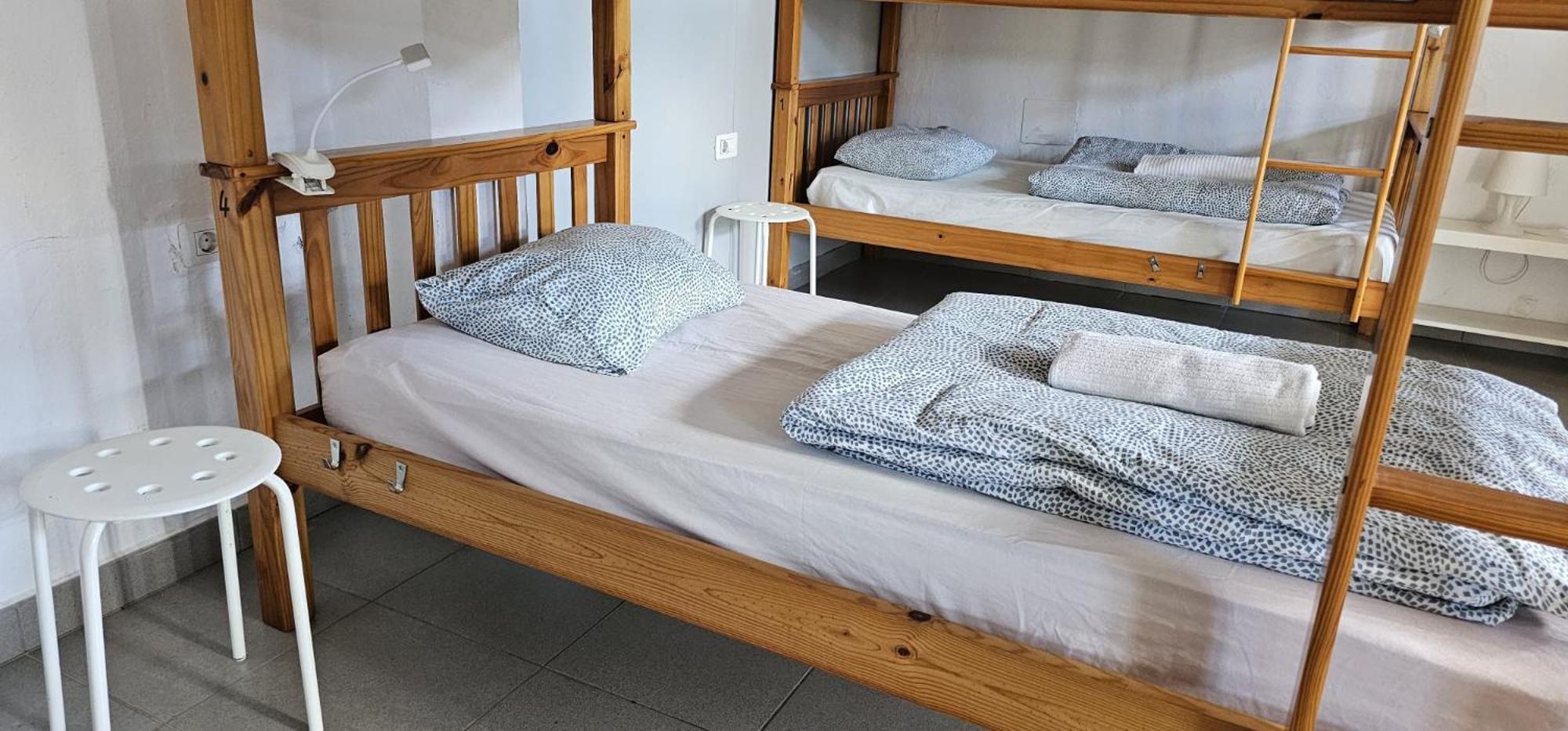 Bunk Bed in Mixed Dormitory Room photo 2
