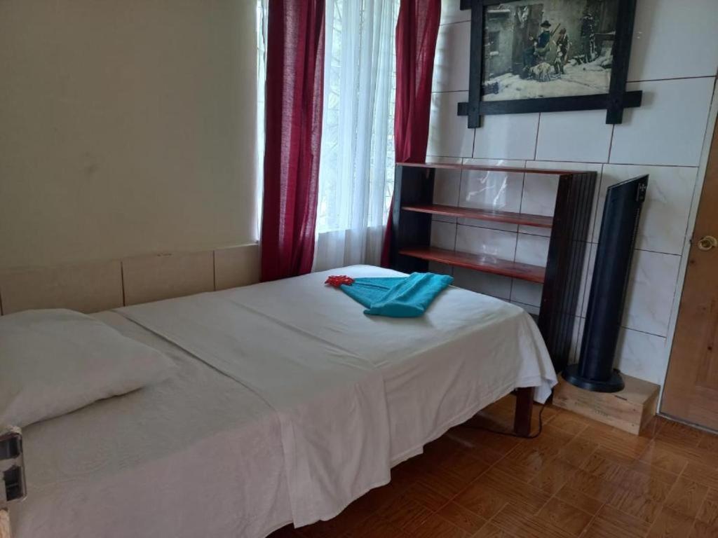 Single Room with Private Bathroom photo 1