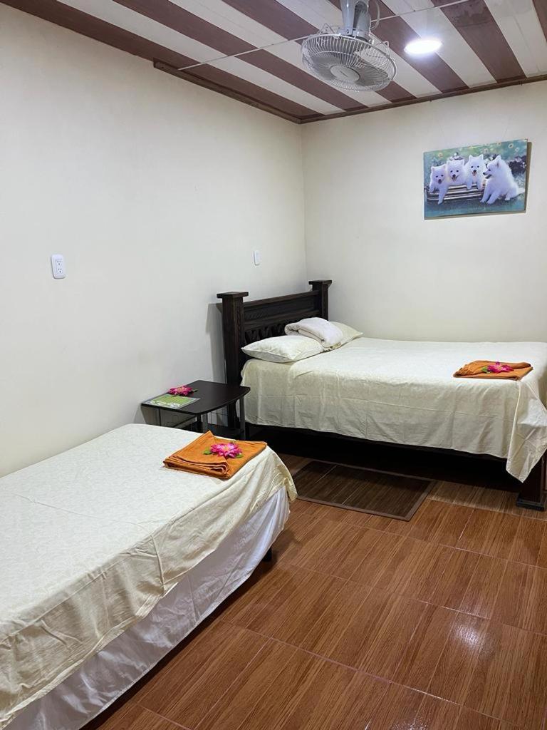 Double or Twin Room photo 1