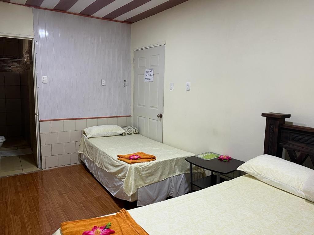 Double or Twin Room photo 2