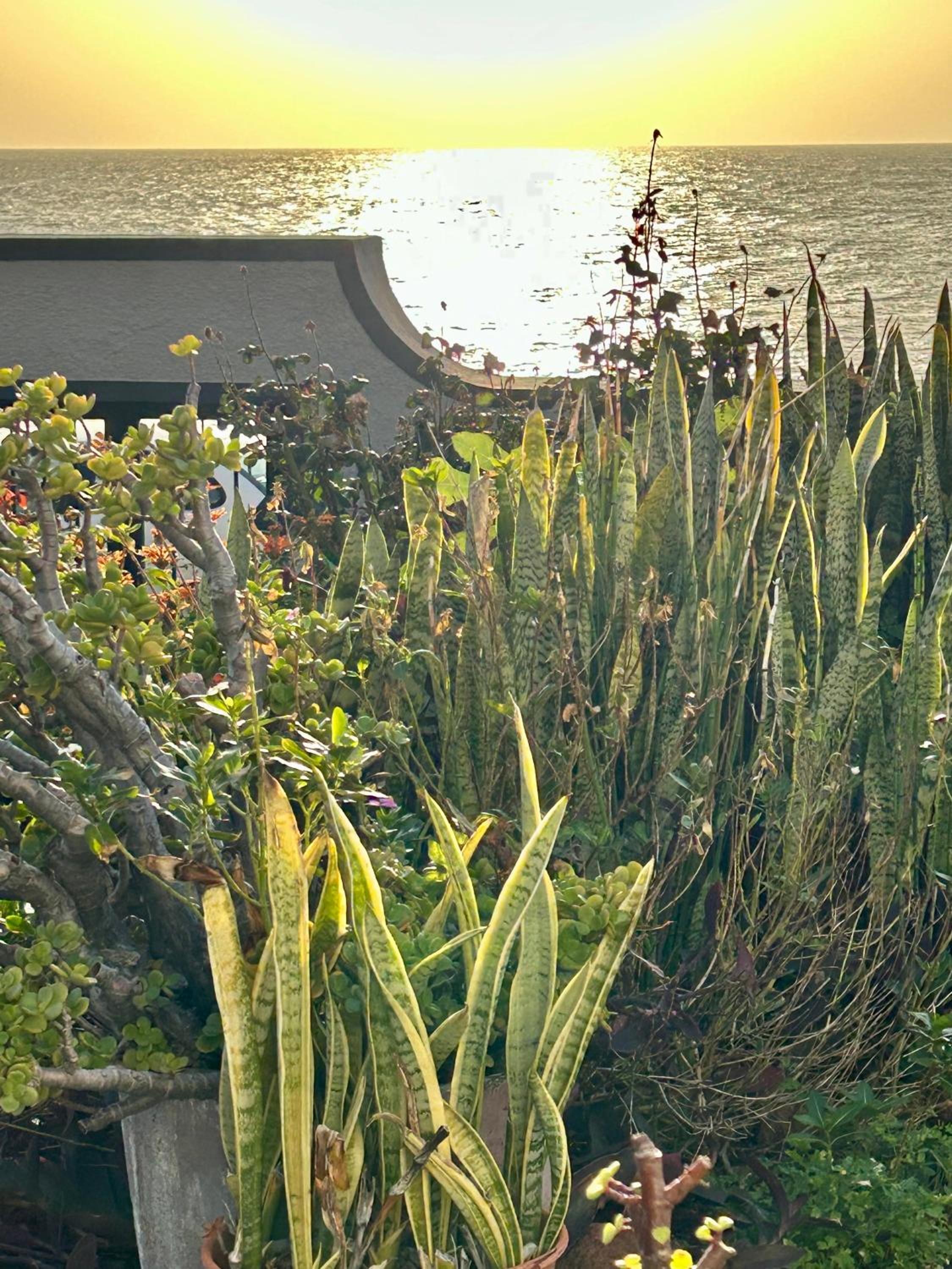 Villa - Beach Front photo 2