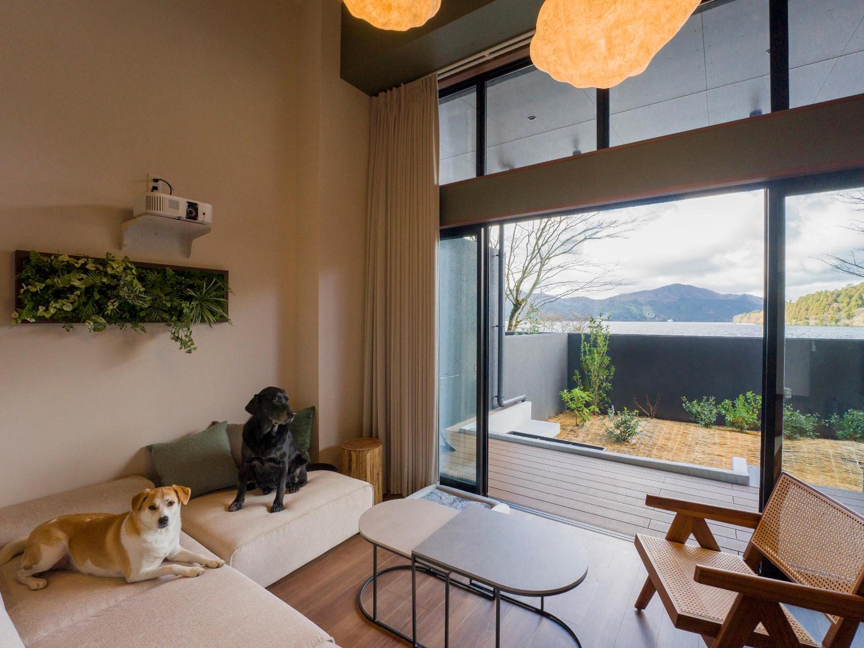 Two Double Bed Room with Loft- Dog Friendly