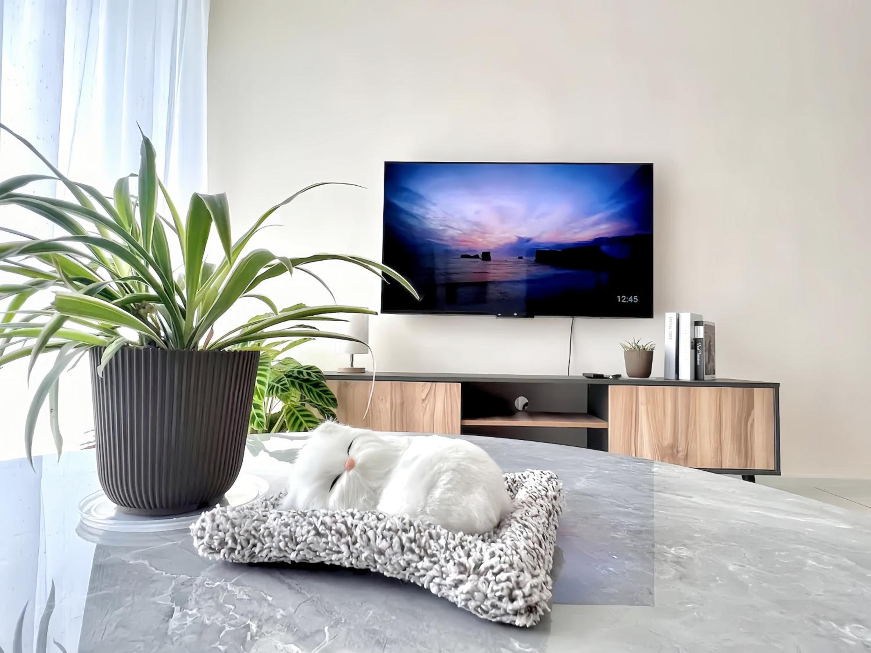 Superior Apartment photo 2