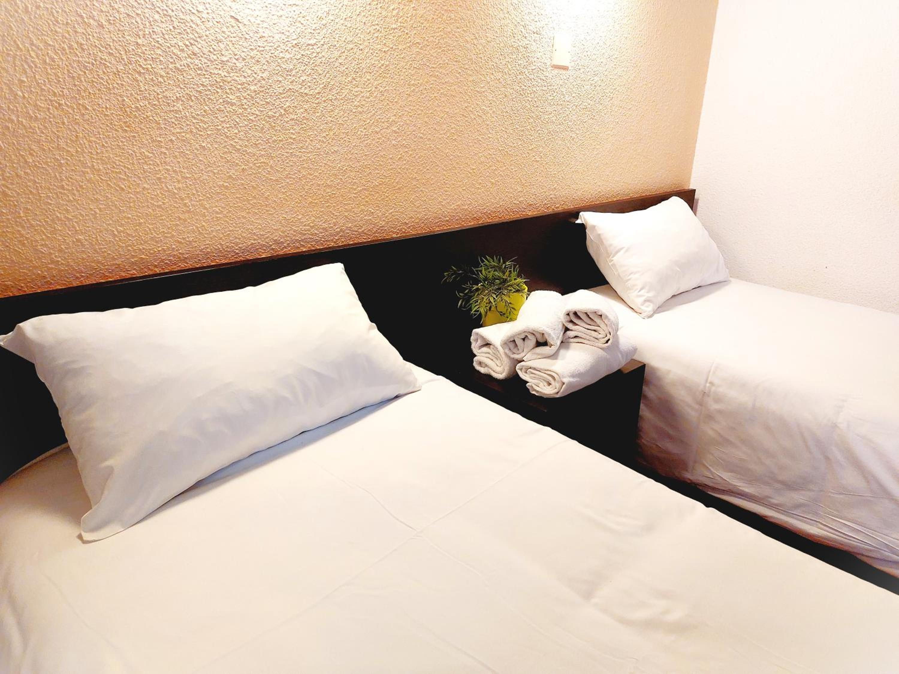 Double or Twin Room photo 2