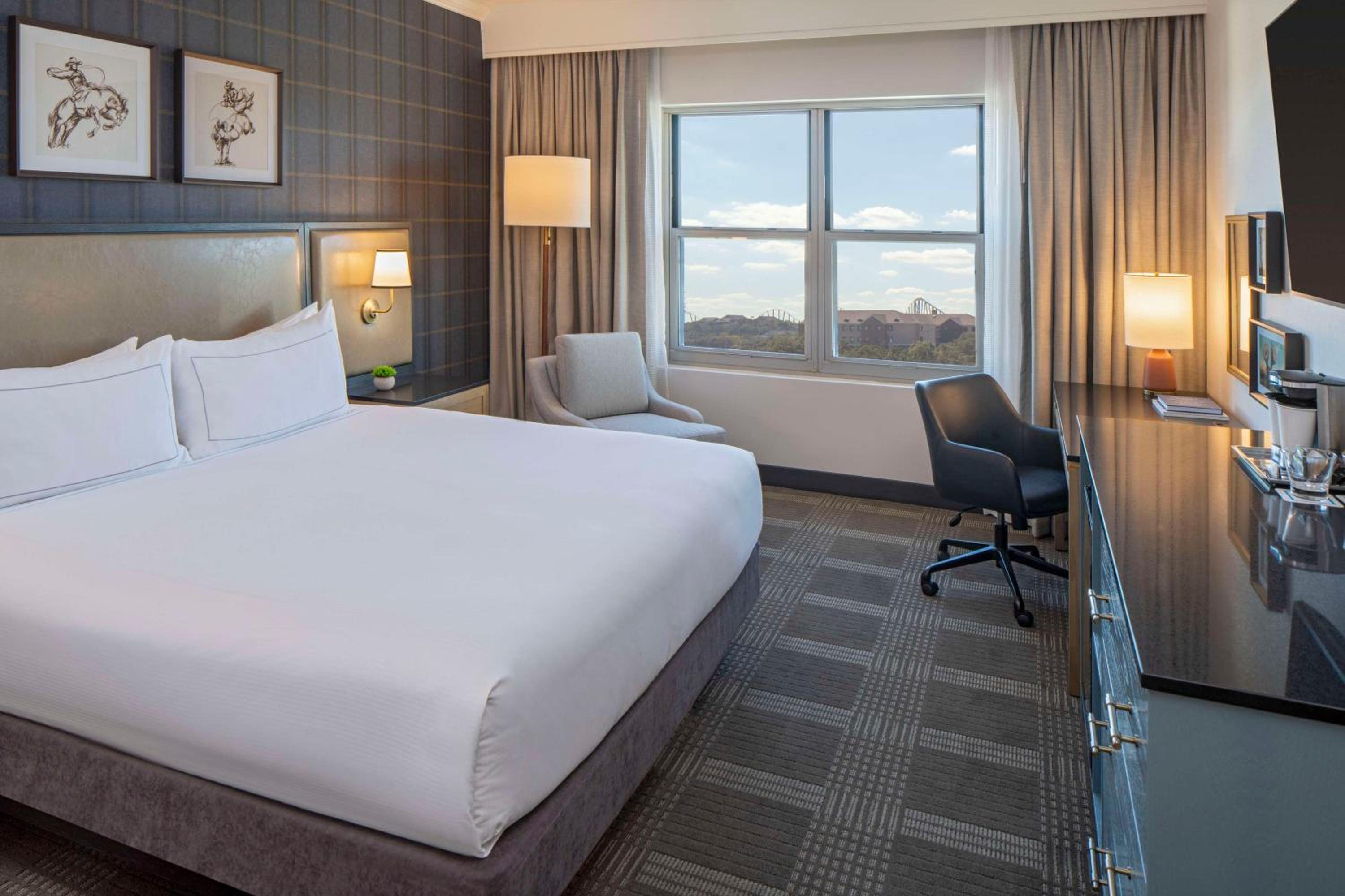 King Room - Photo 11