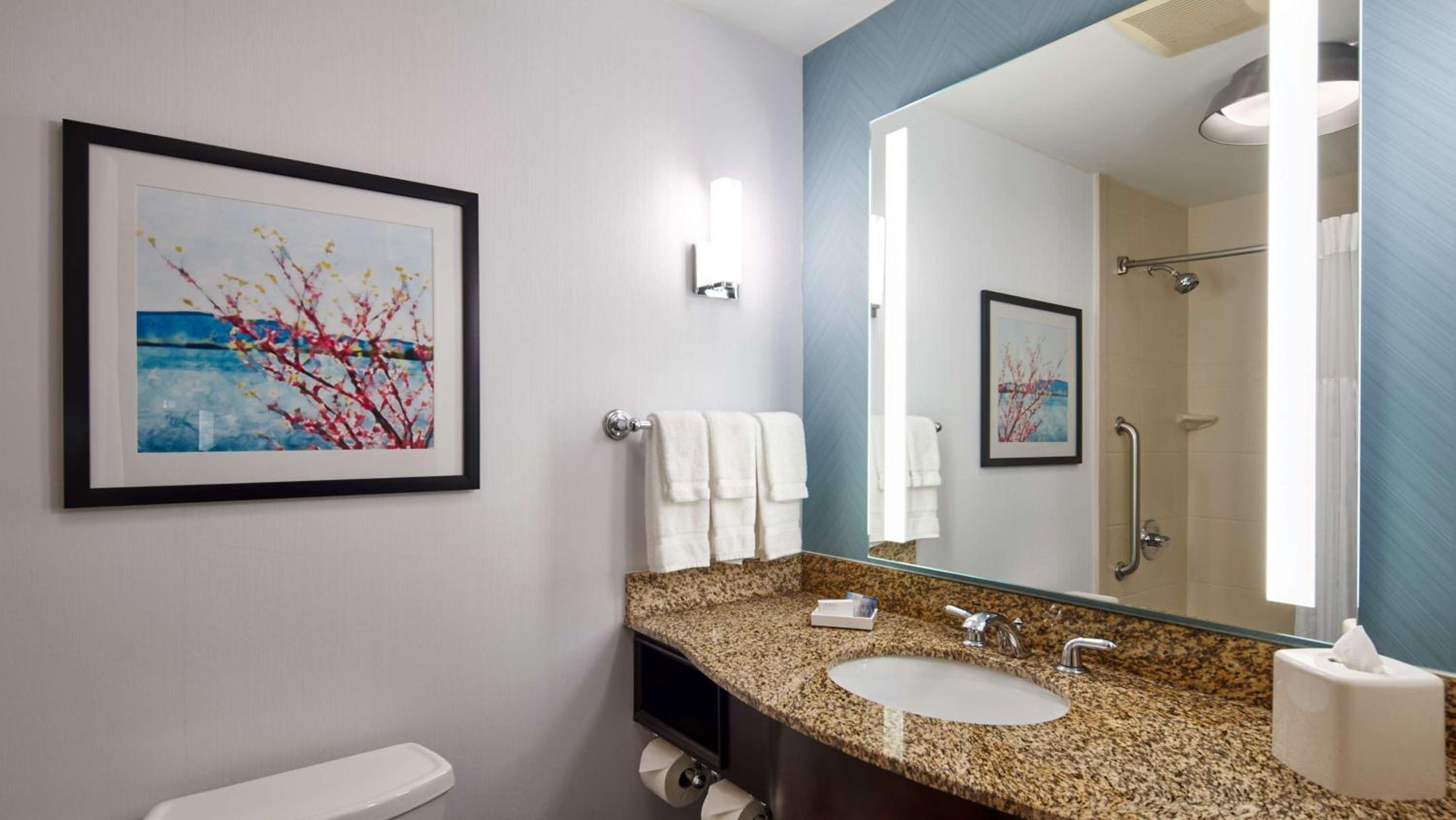 King Room with Roll-In Shower - Mobility Access - Photo 2