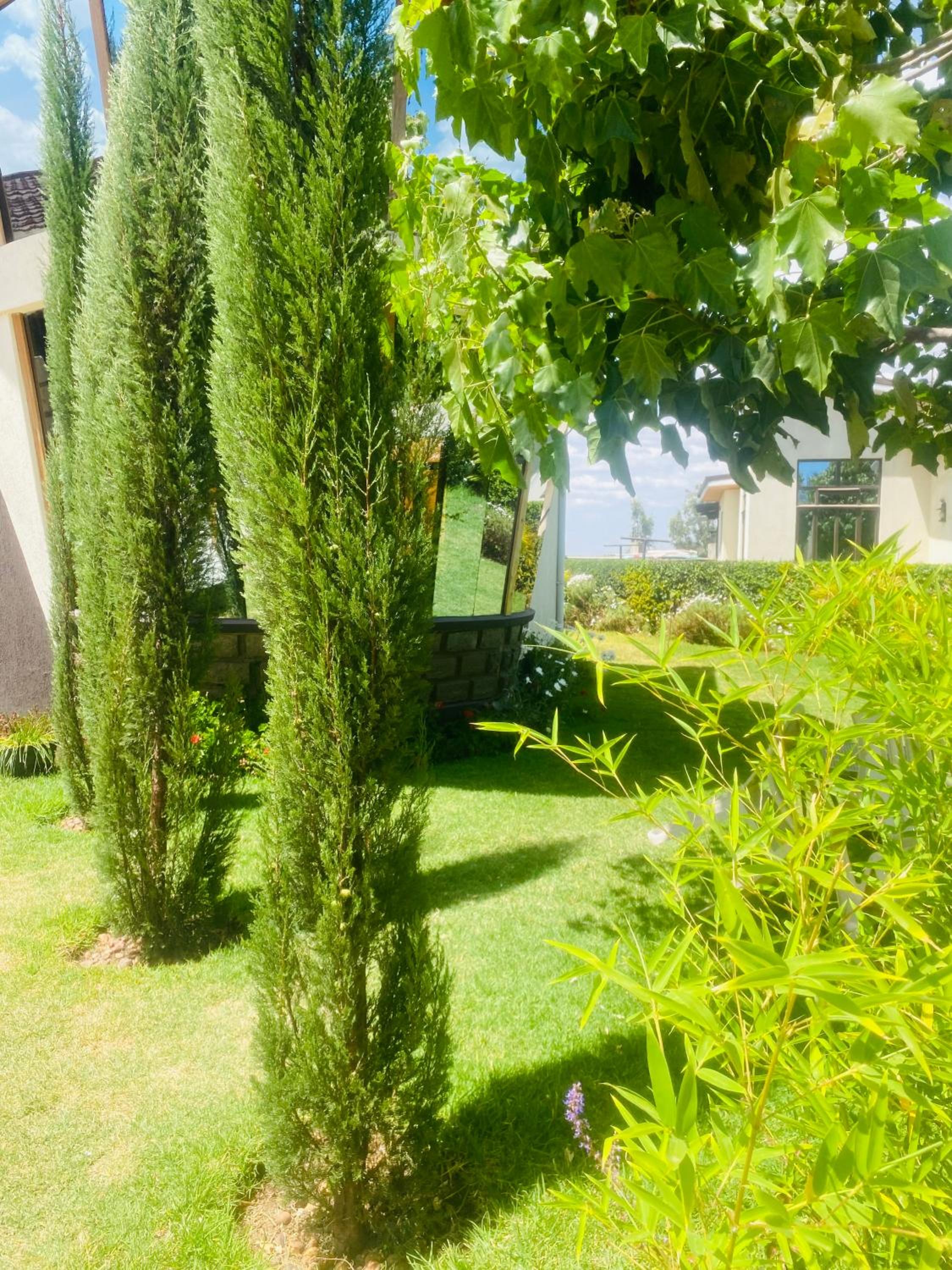 Three-Bedroom Villa photo 2