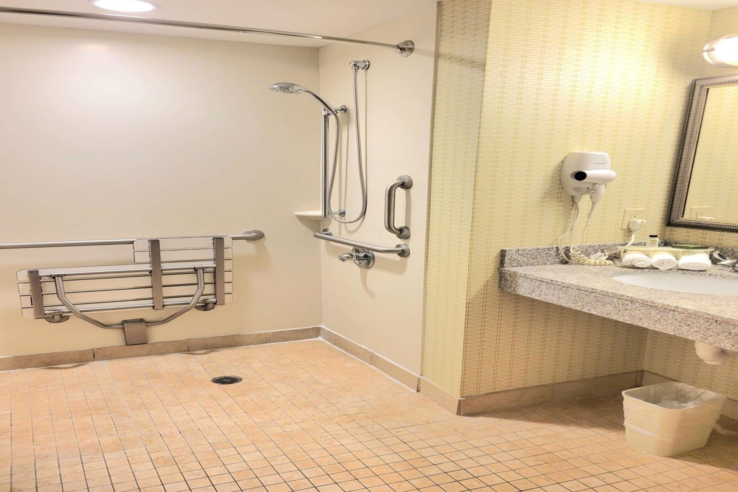 Queen Room with Roll-In Shower - Mobility/Hearing Accessible - Non-Smoking