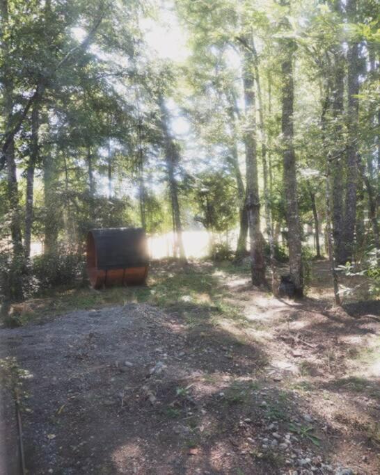 Three-Bedroom Chalet photo 2