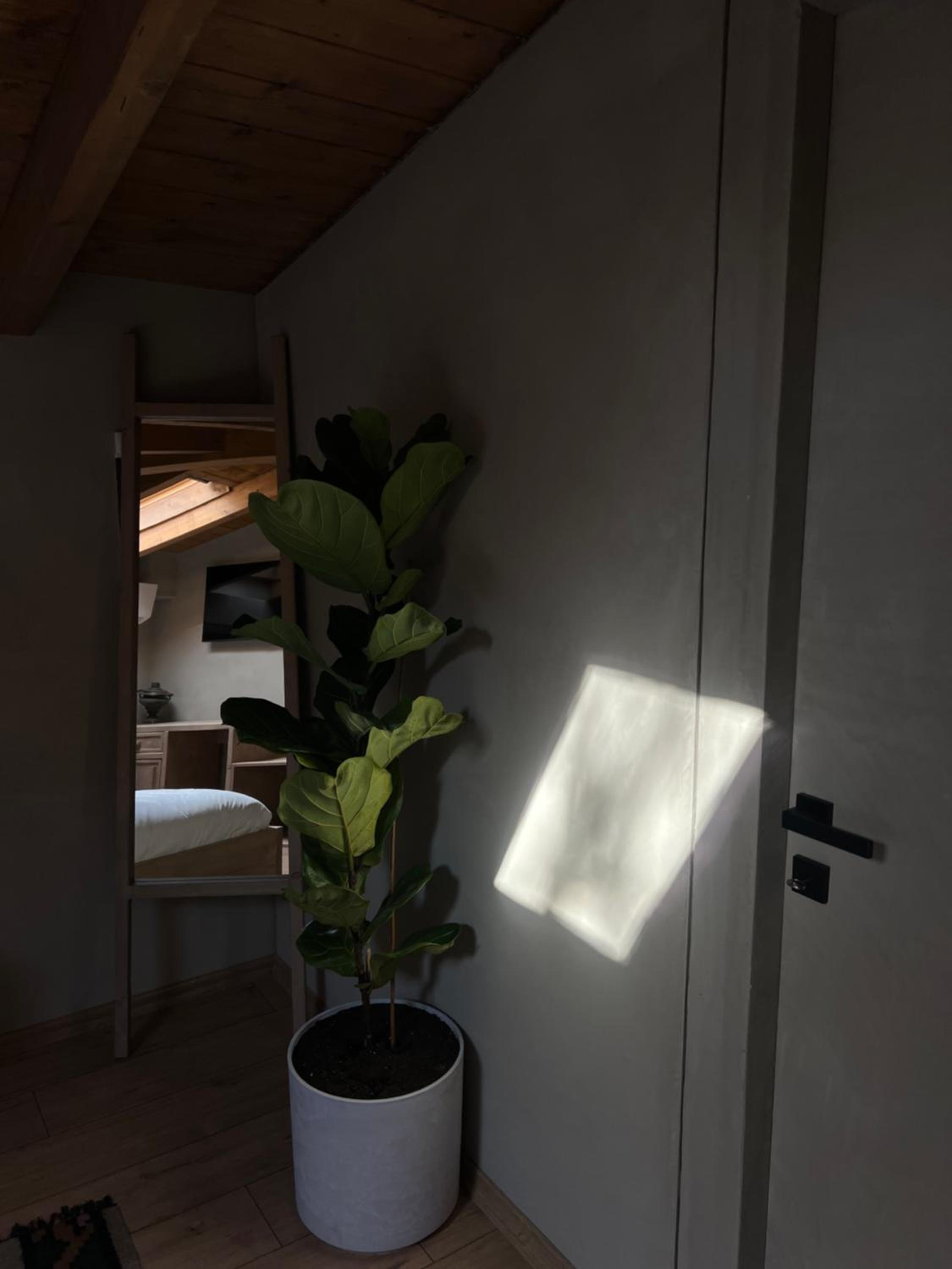 Standard Double Room: Shkodra photo 3