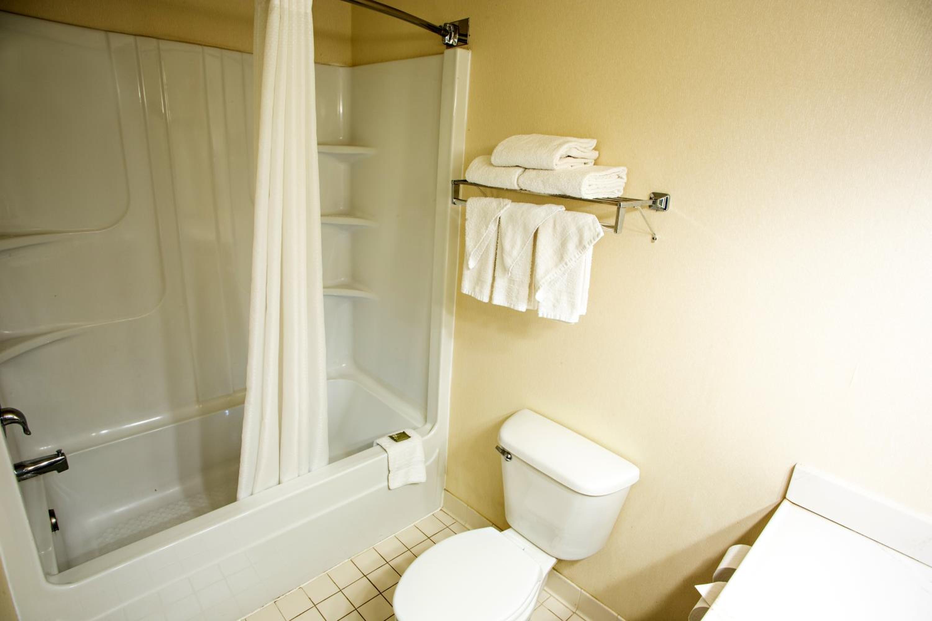 One-Bedroom Queen Suite photo 3