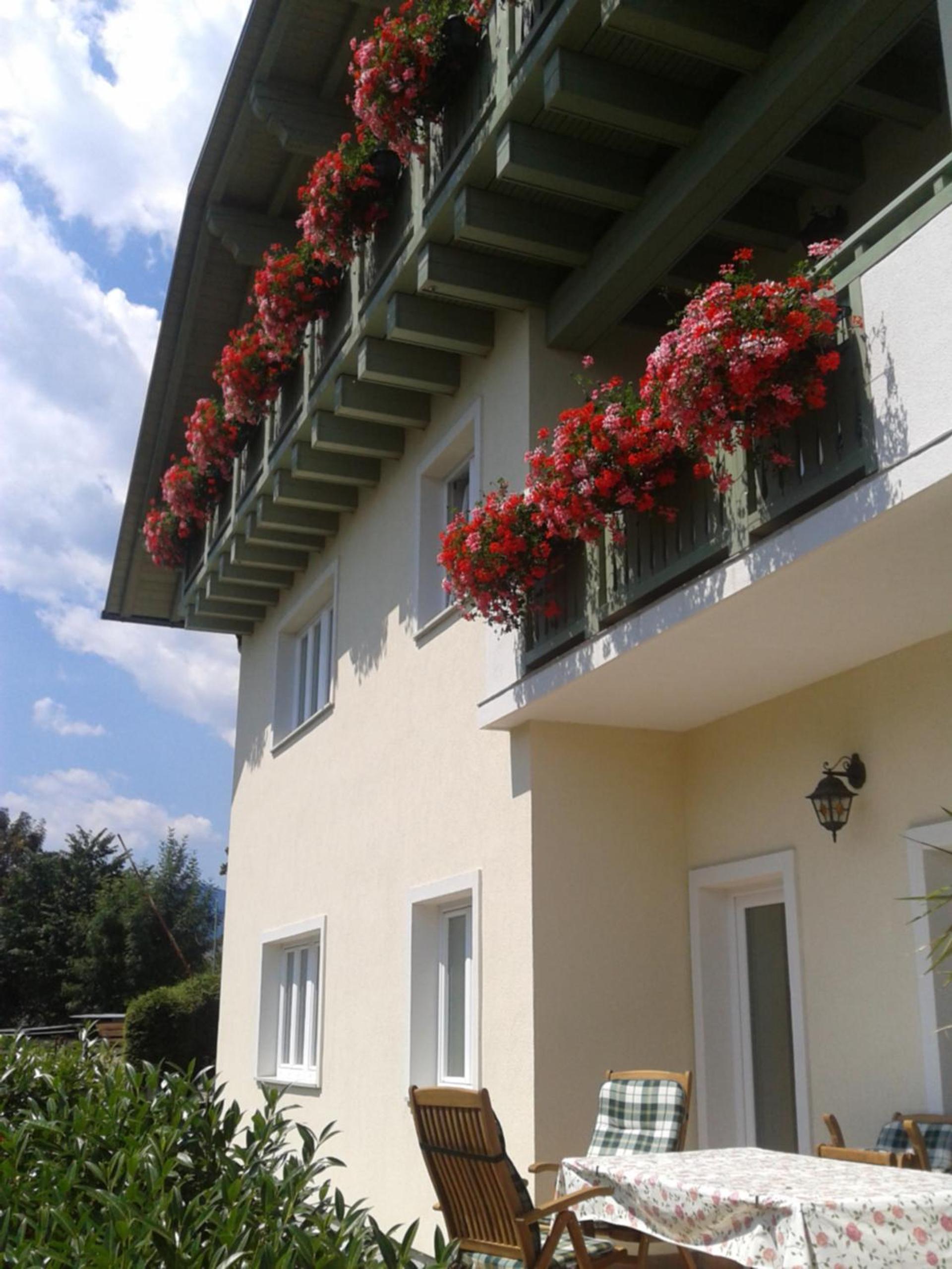 One-Bedroom Apartment with Garden photo 2