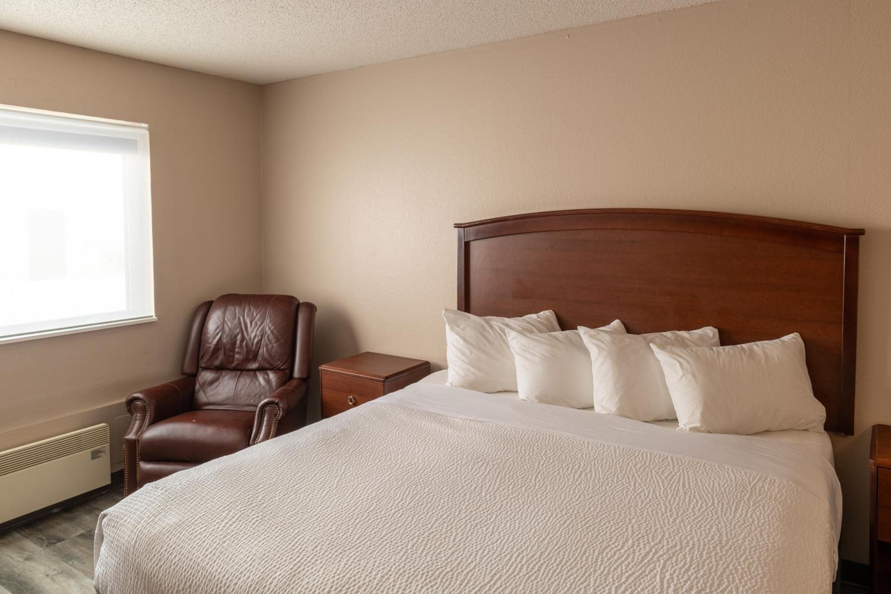 King Room photo 1
