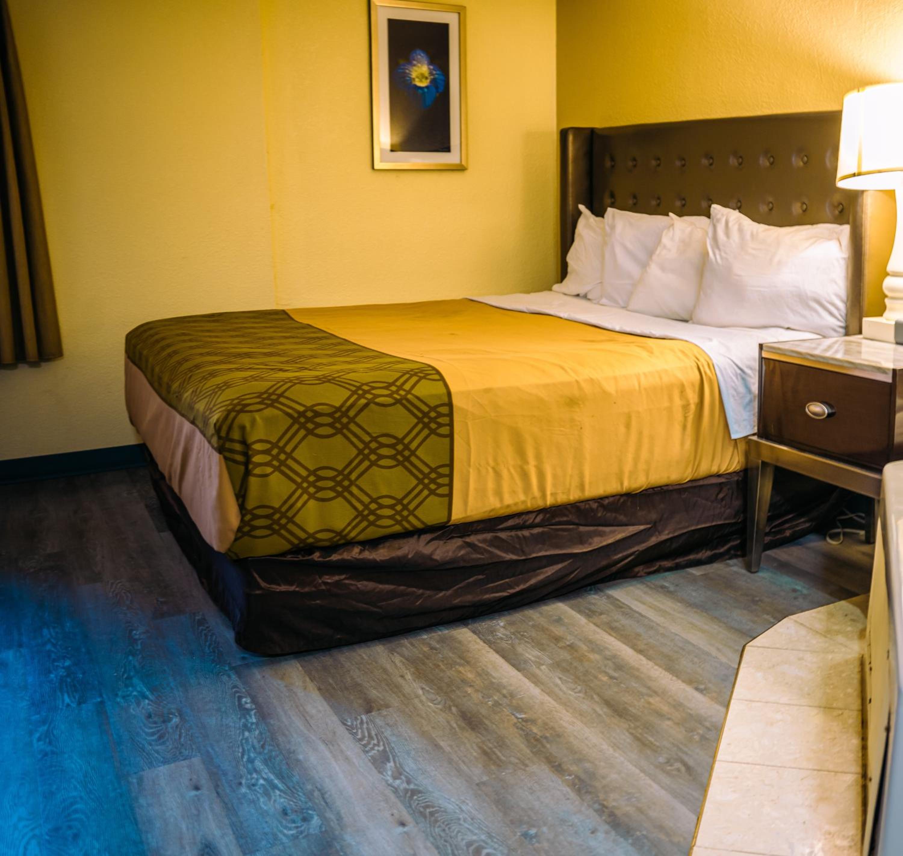 Deluxe Single Room photo 1