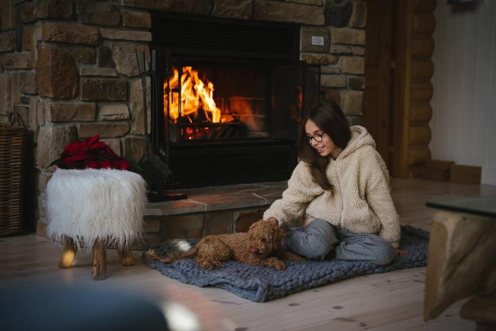 Chalet photo 3