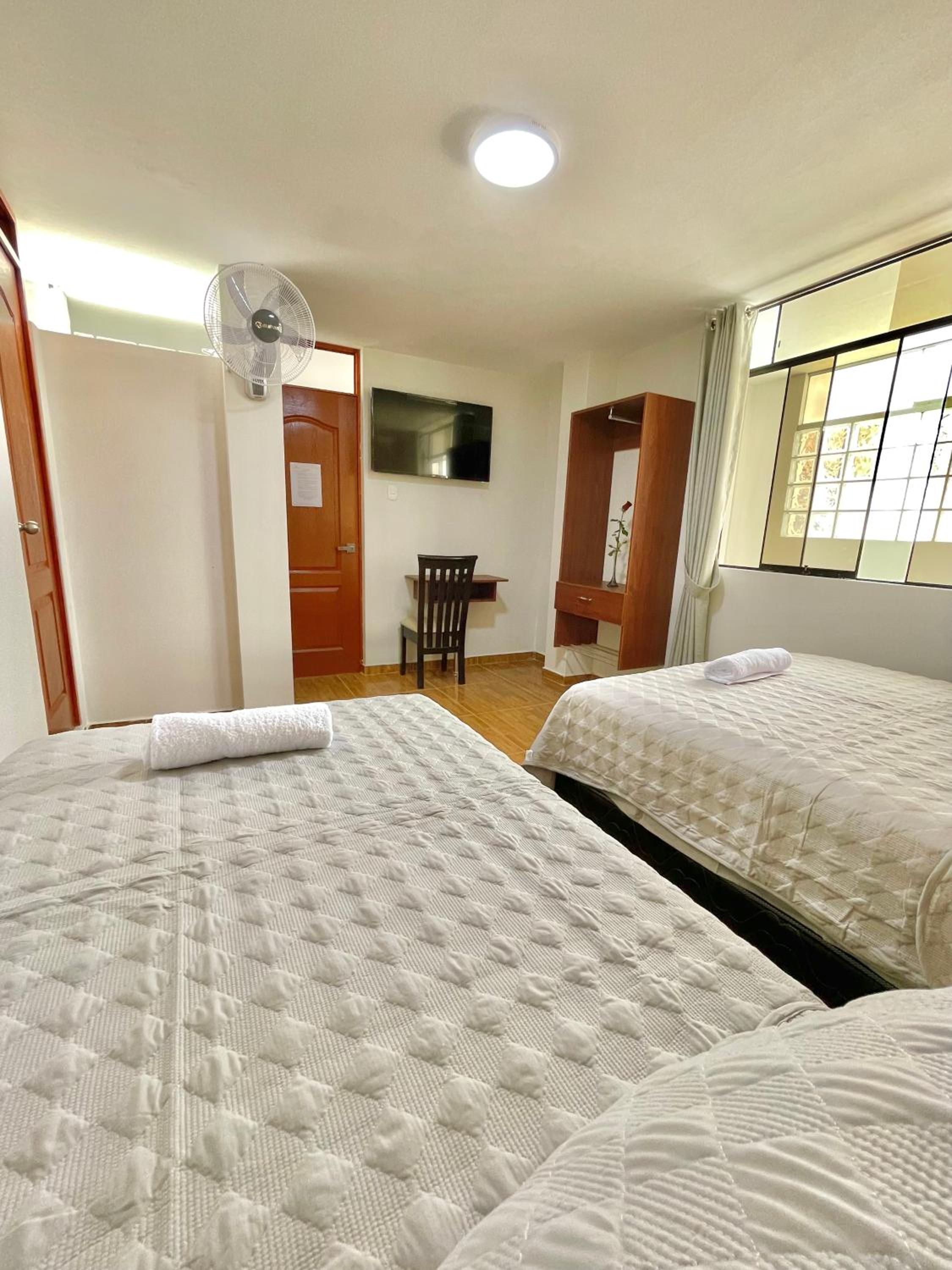Twin Room photo 2