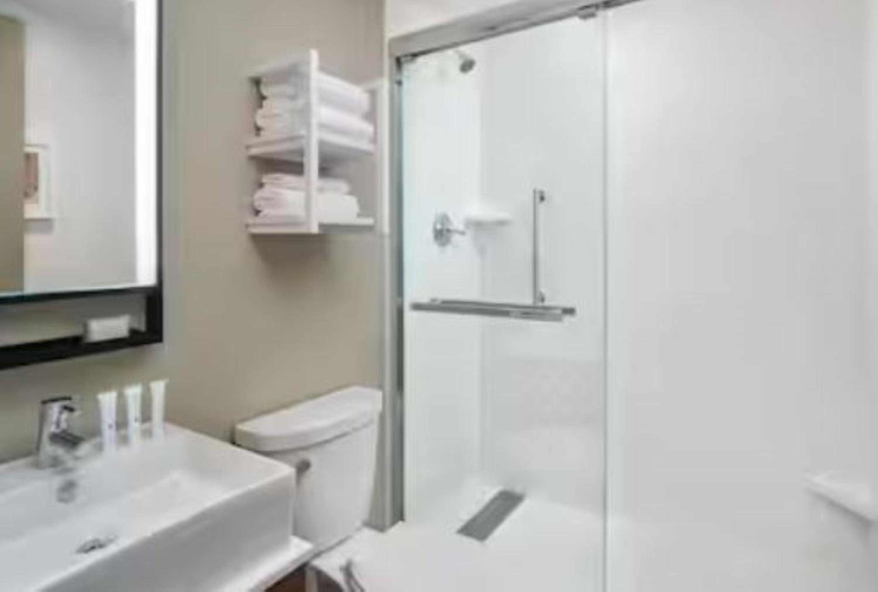 King Studio Suite with Sofa Bed - Photo 6