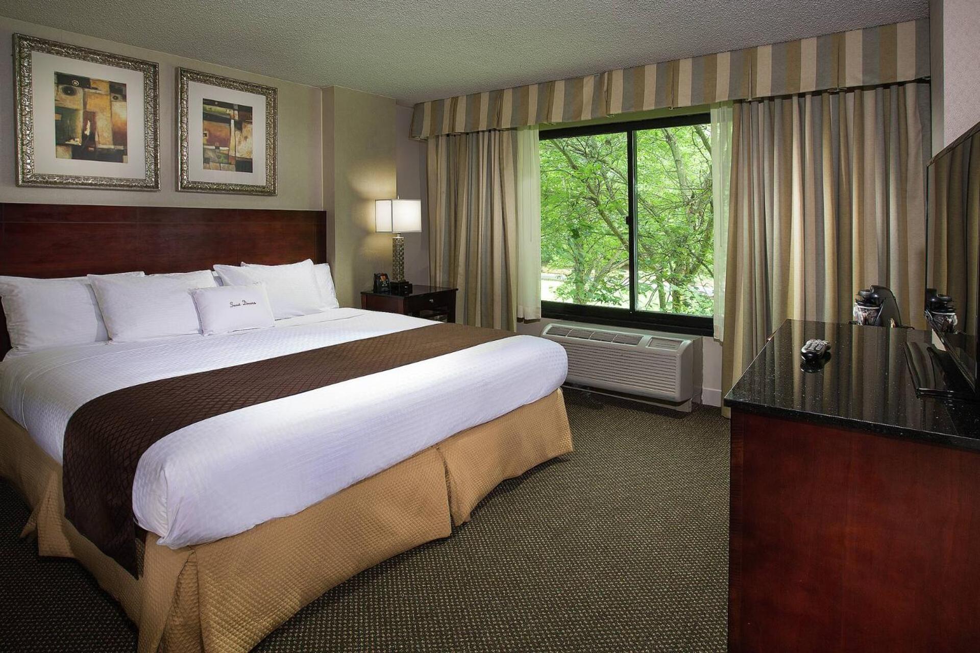 Non-Smoking Two Room King Suite - Photo 1